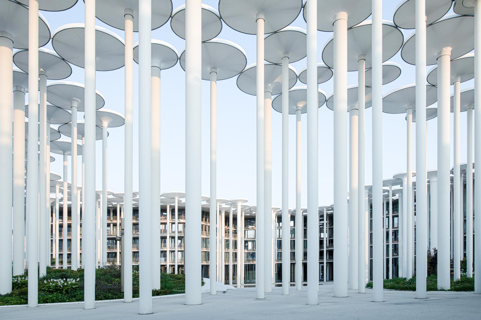 New York Photography Awards Winner - Sachsische Aufbaubank