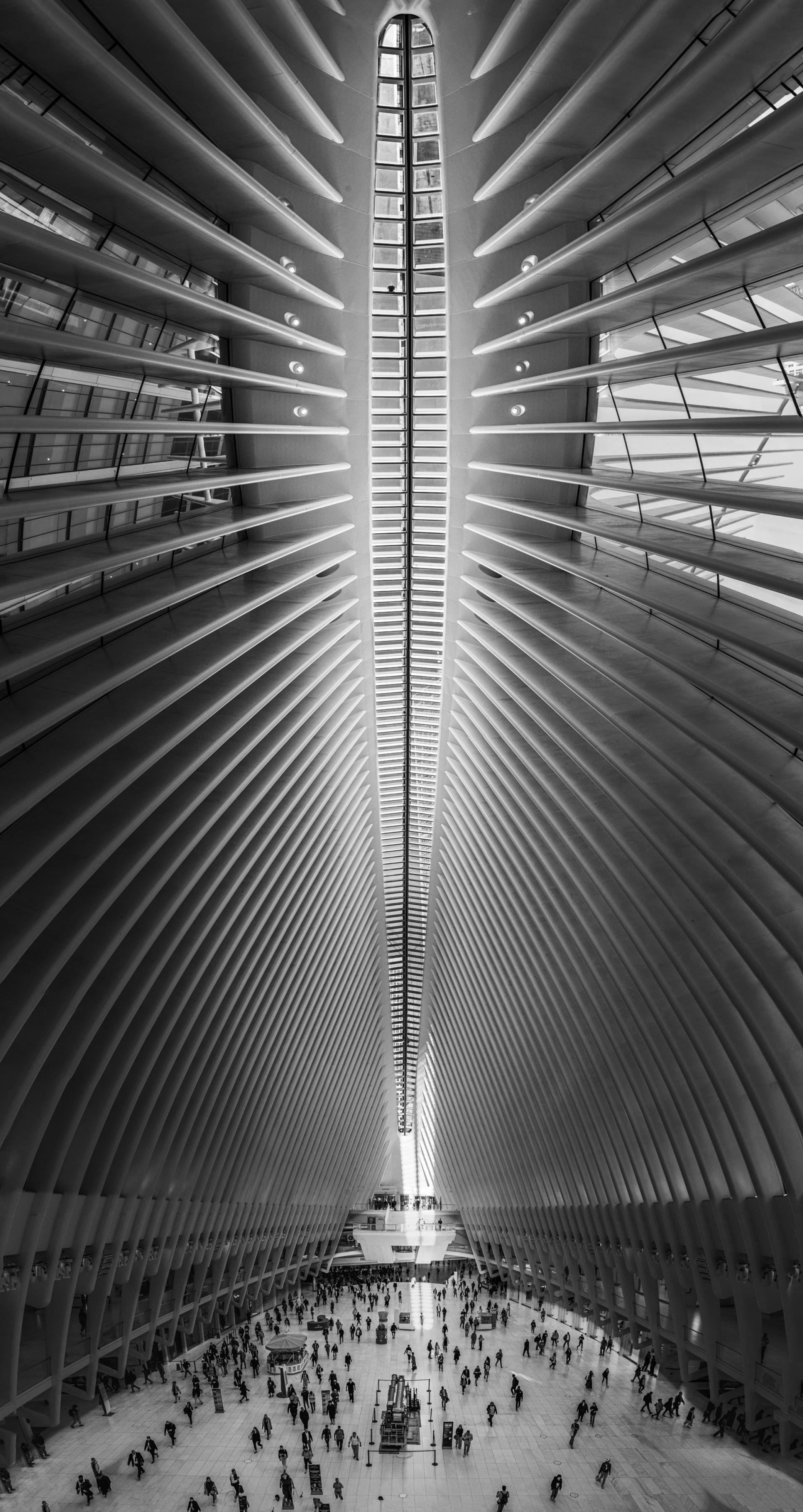 New York Photography Awards Winner - The wide eyed oculus...