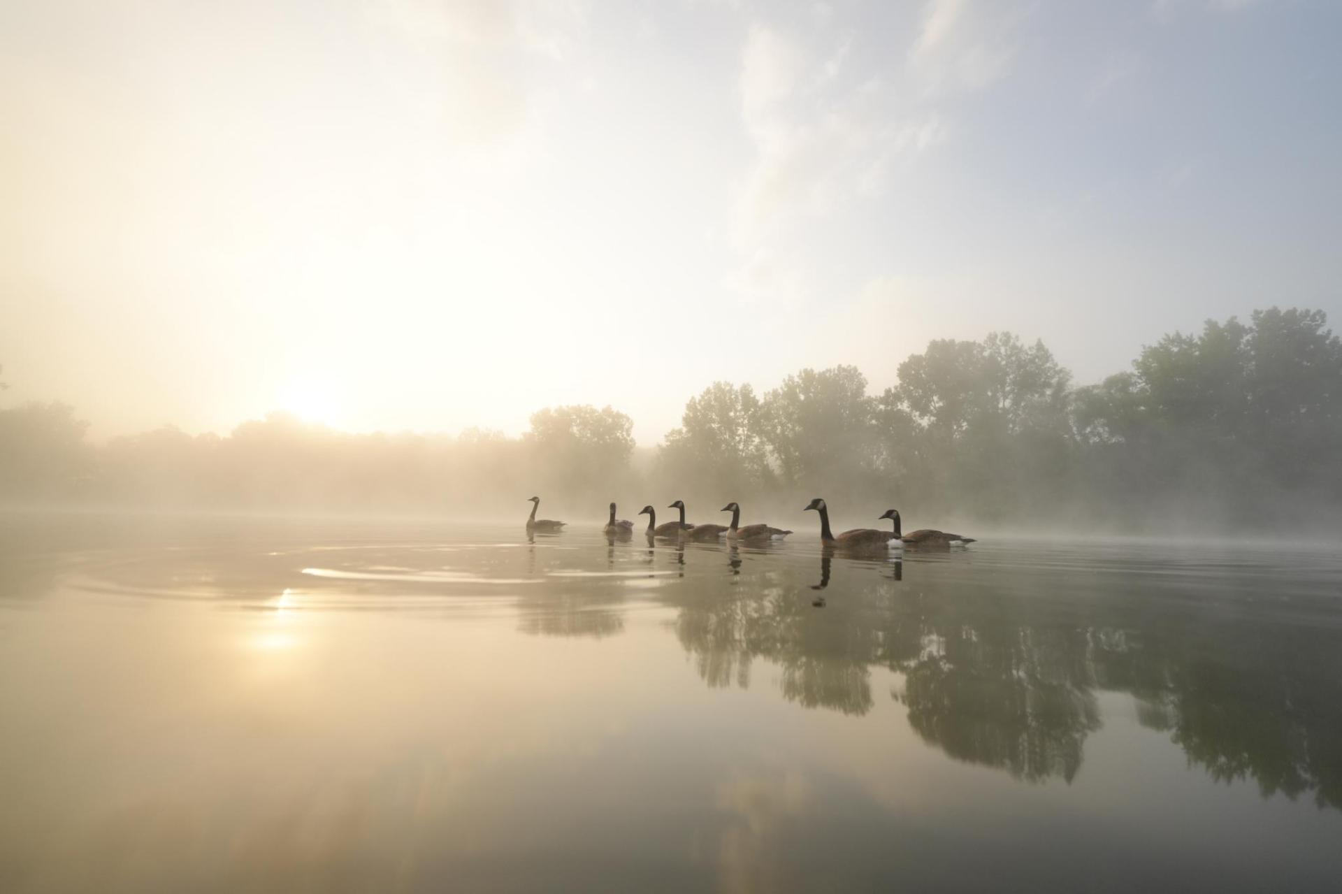New York Photography Awards Winner - Wonderland