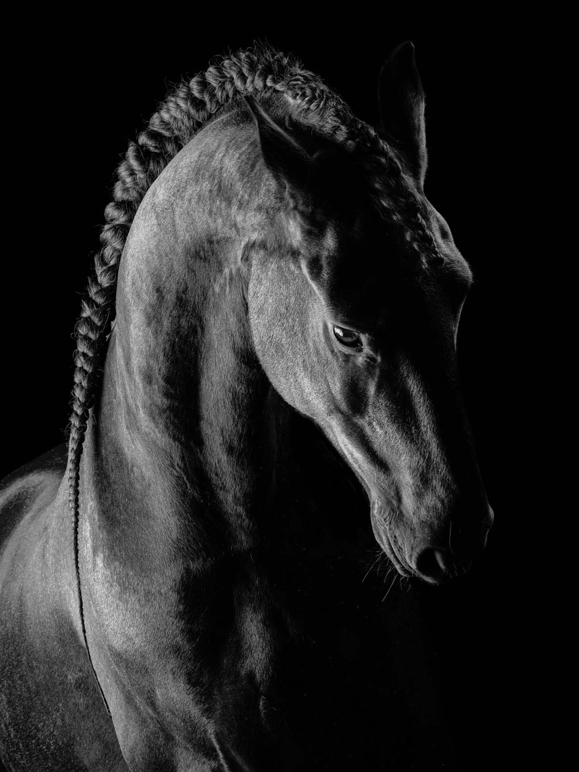 New York Photography Awards Winner - Curvature