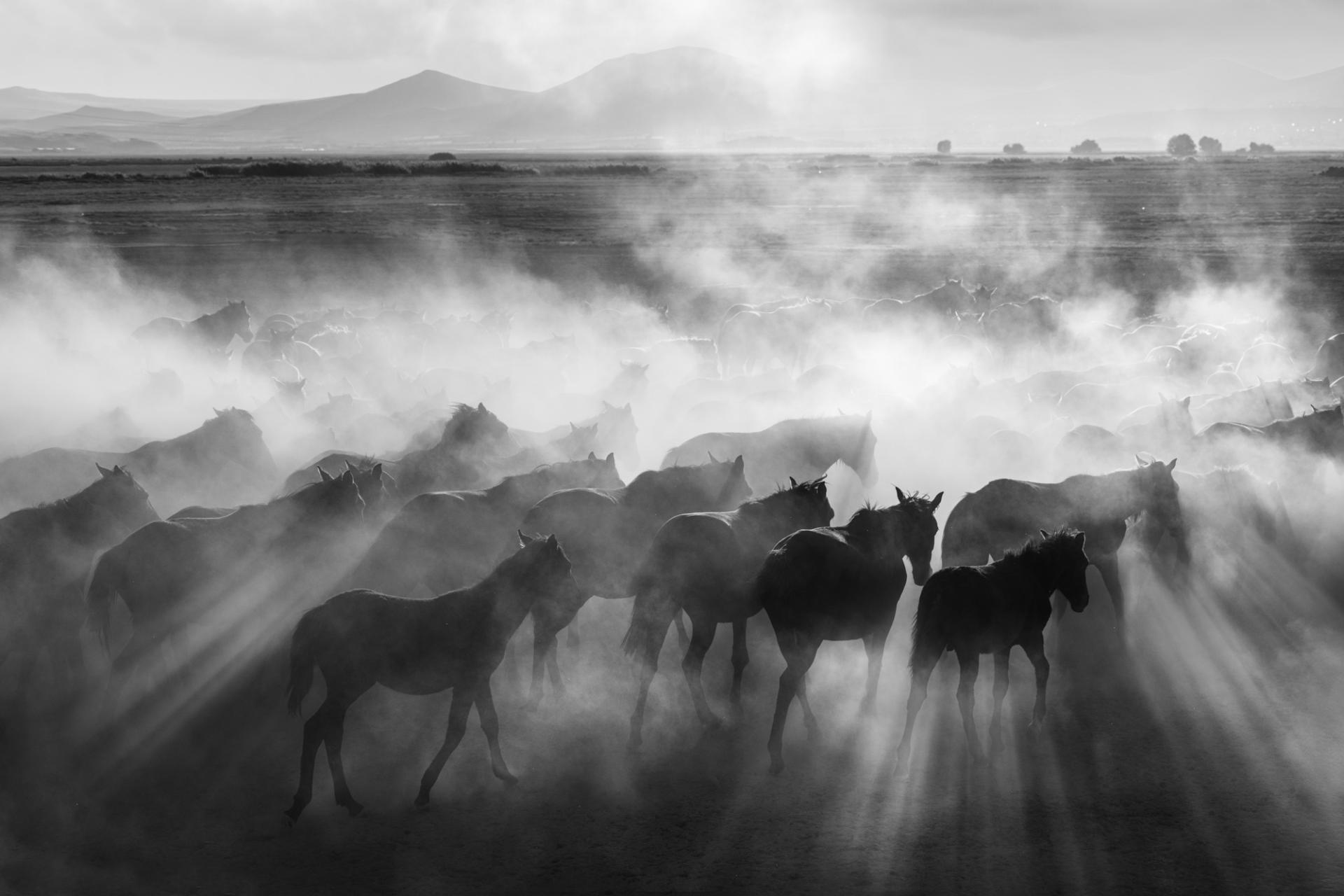 New York Photography Awards Winner - Dusty Horizons