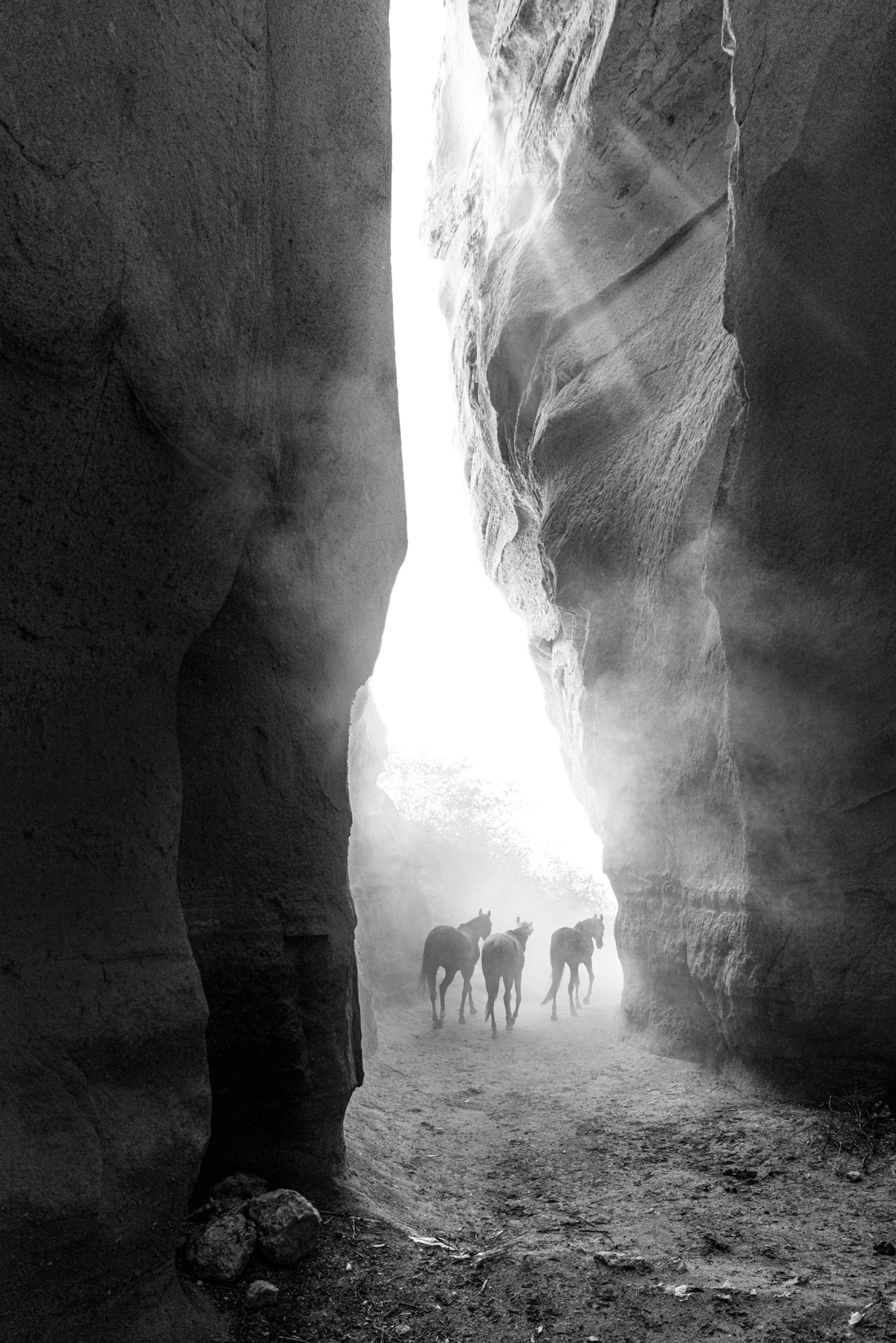 New York Photography Awards Winner - Long Way Home