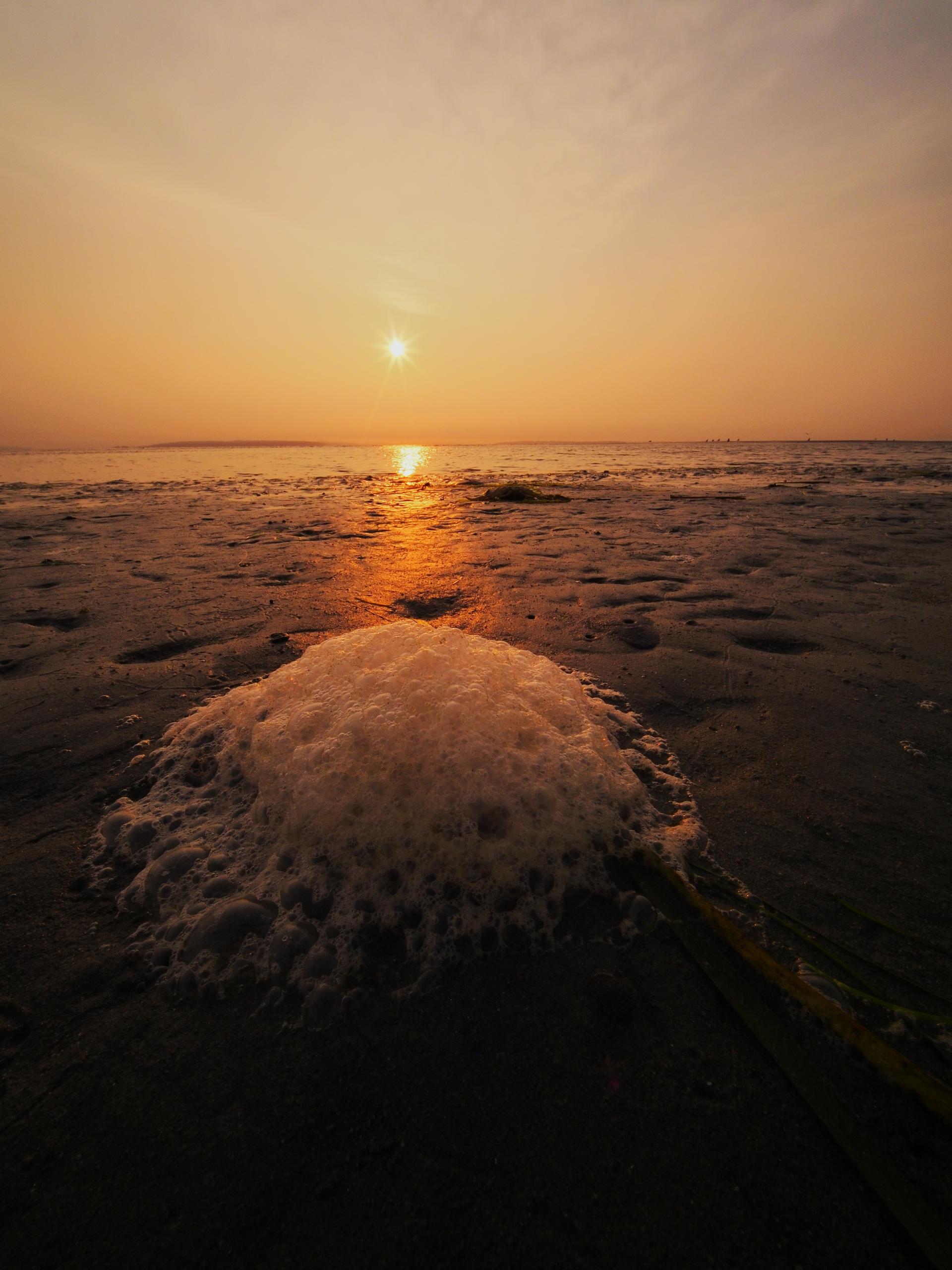 New York Photography Awards Winner - Sunset Over Boundary Bay’s Mirror-Mud