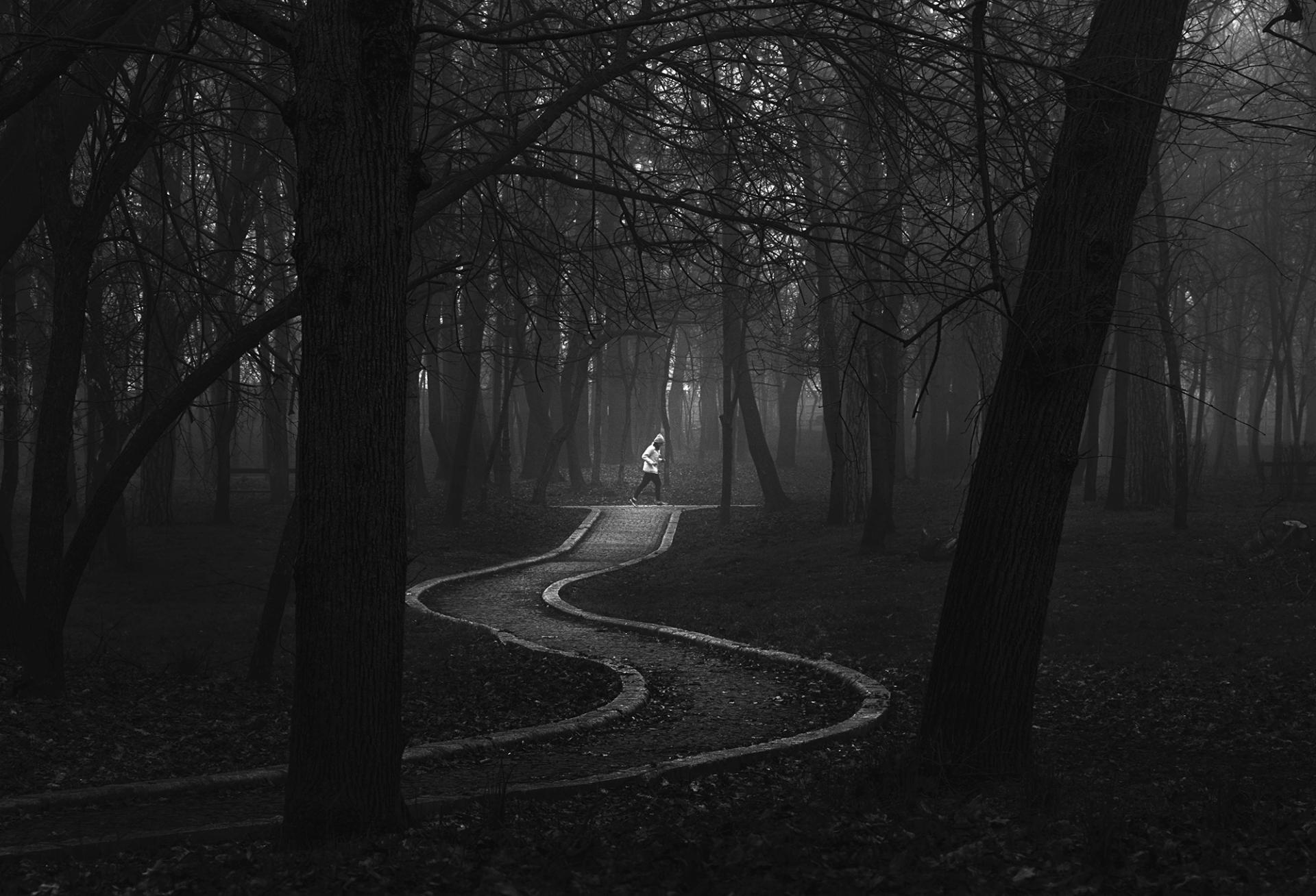 New York Photography Awards Winner - Alone Through the Fog