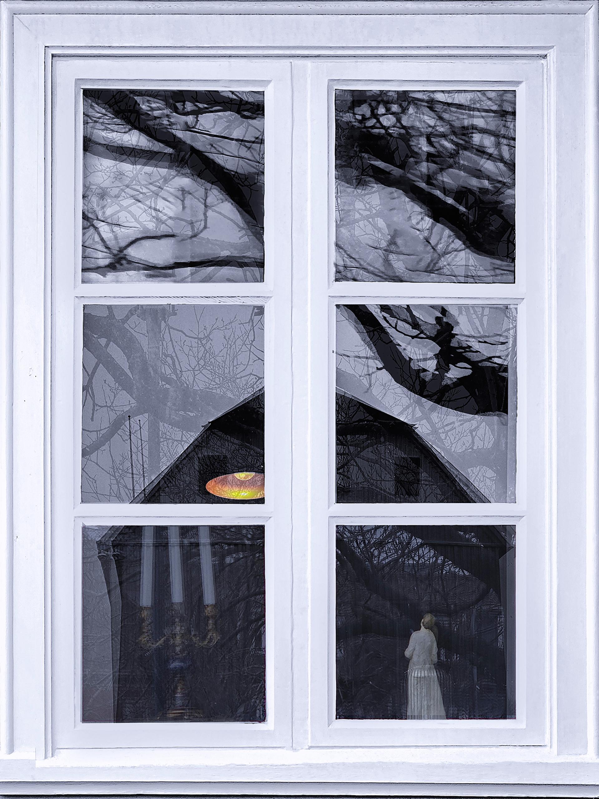 New York Photography Awards Winner - Reflected Realities