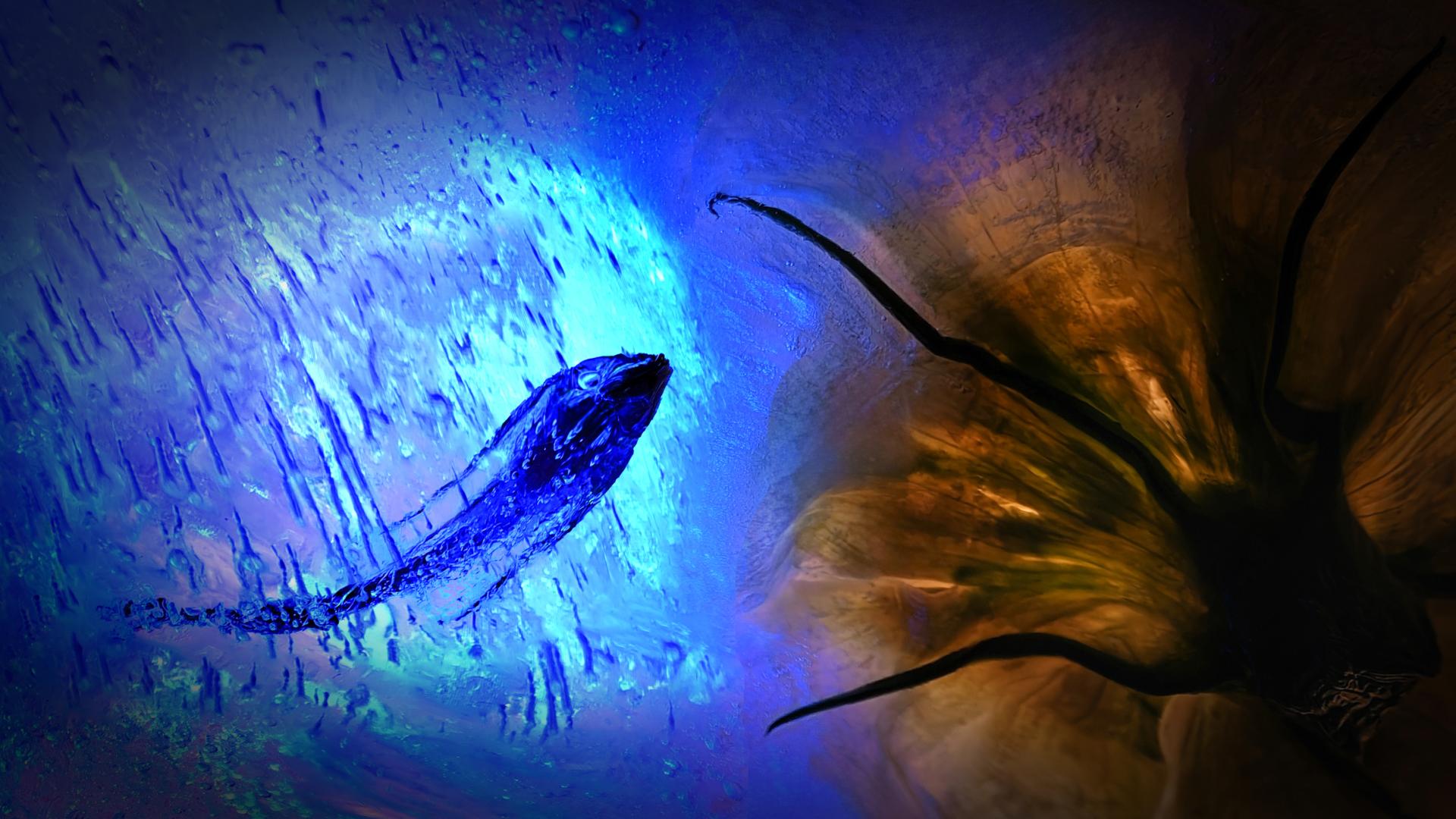 New York Photography Awards Winner - Glacial Ink