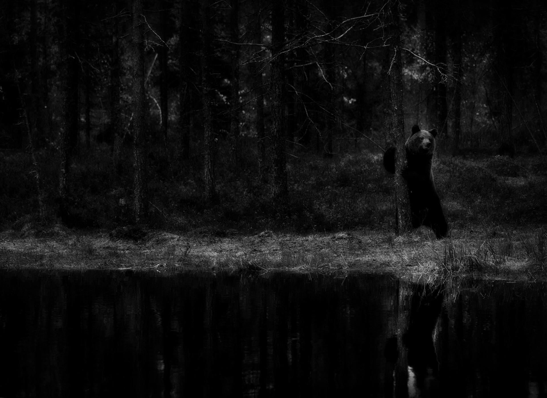 New York Photography Awards Winner - Black Water