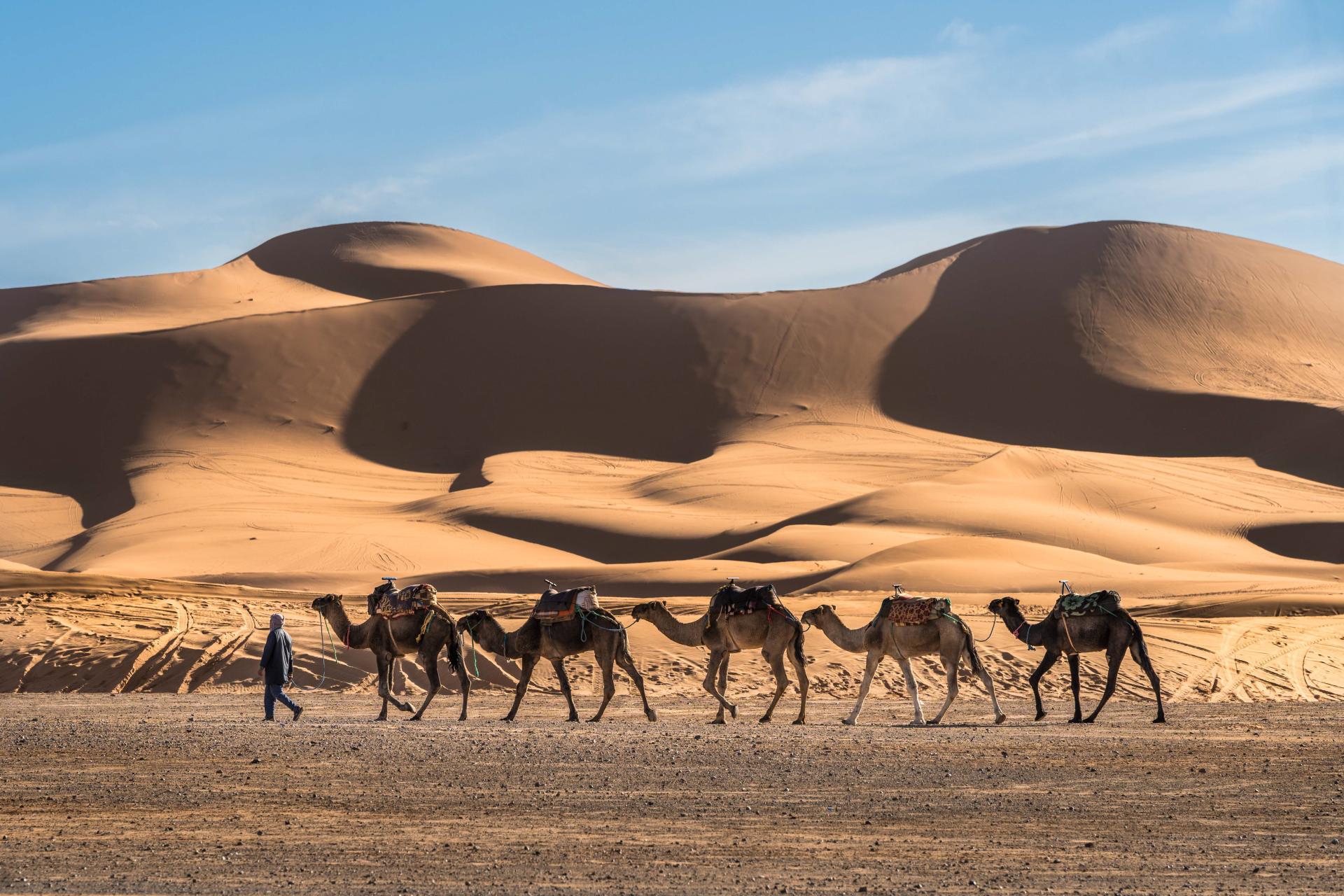 New York Photography Awards Winner - AMAZIGH - Free Man