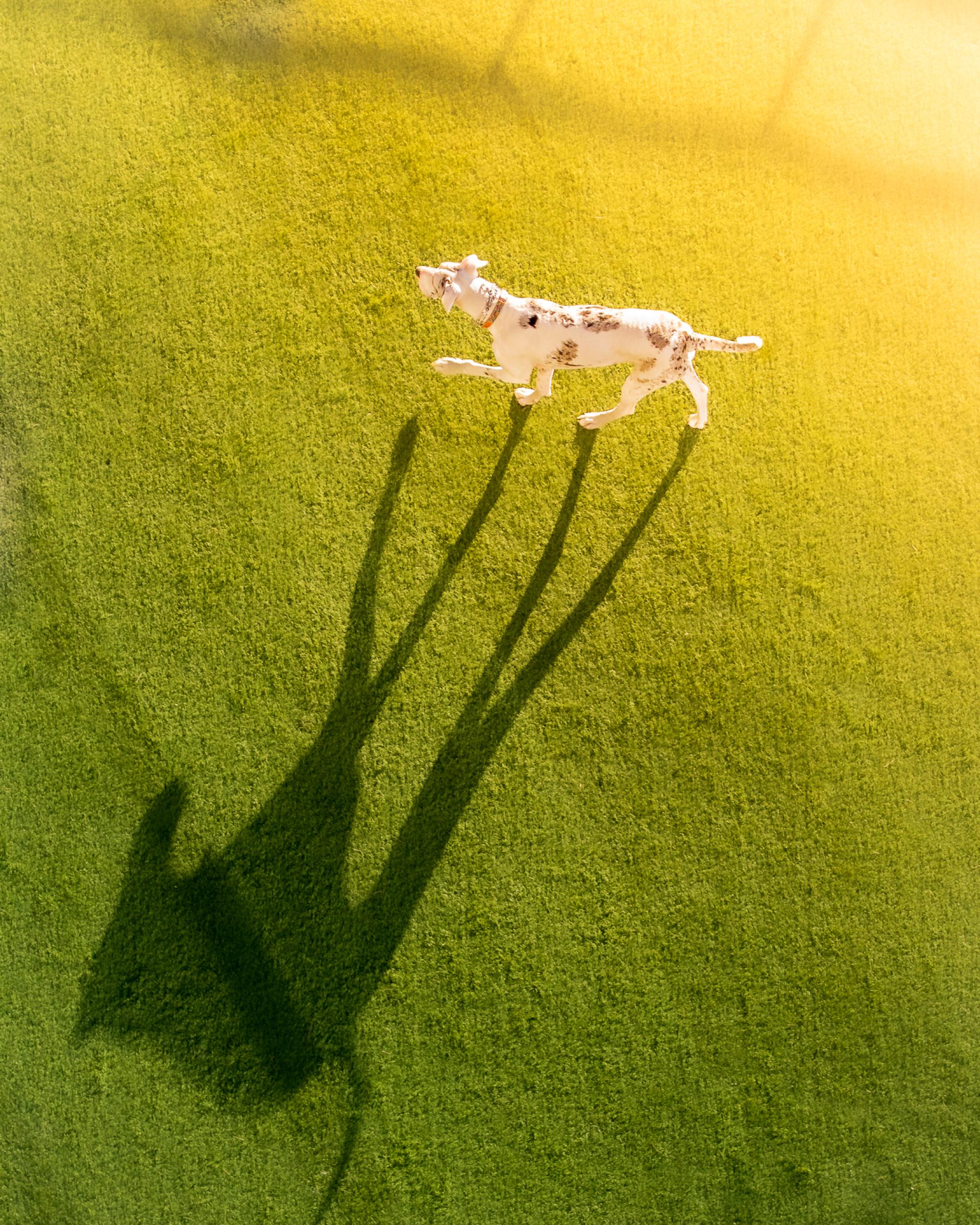 New York Photography Awards Winner - Life Outside My New York Window