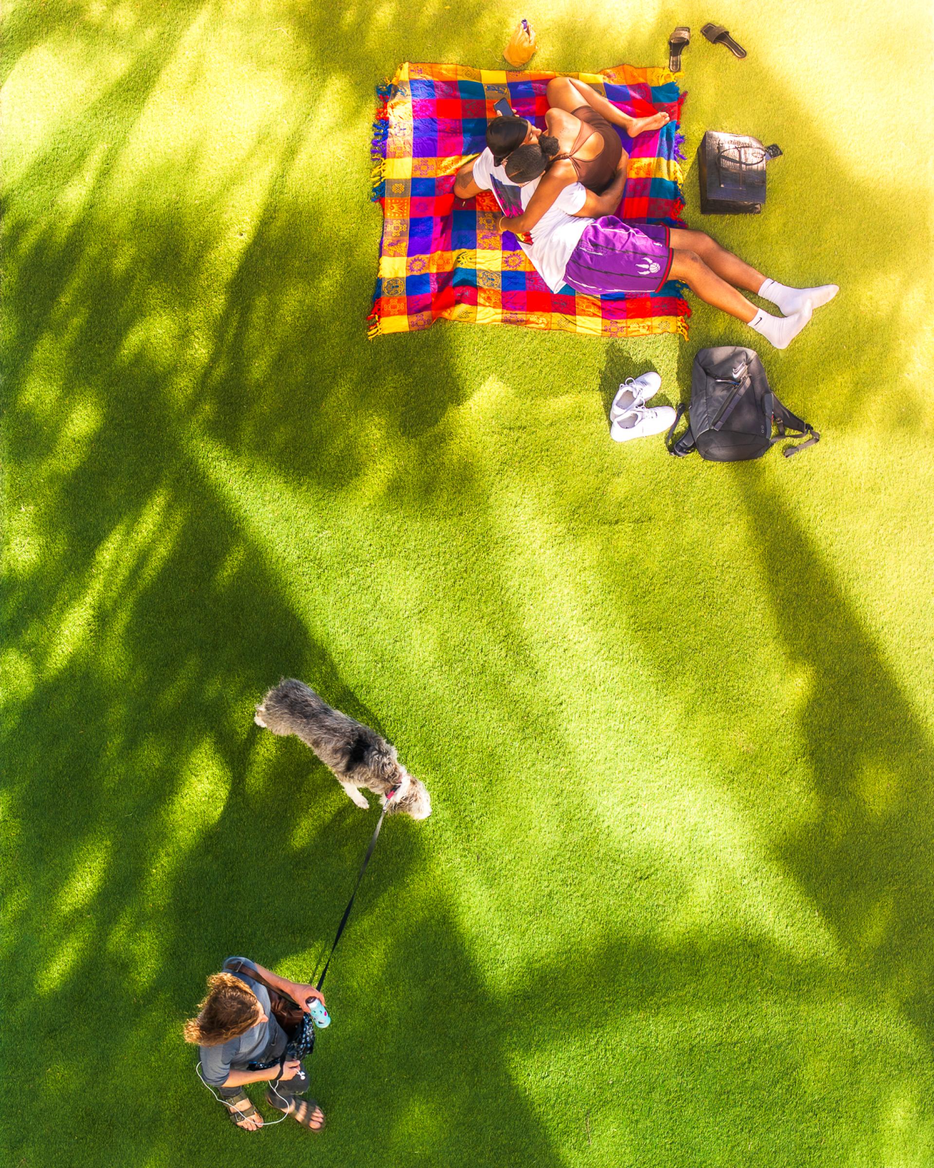New York Photography Awards Winner - Life Outside My New York Window