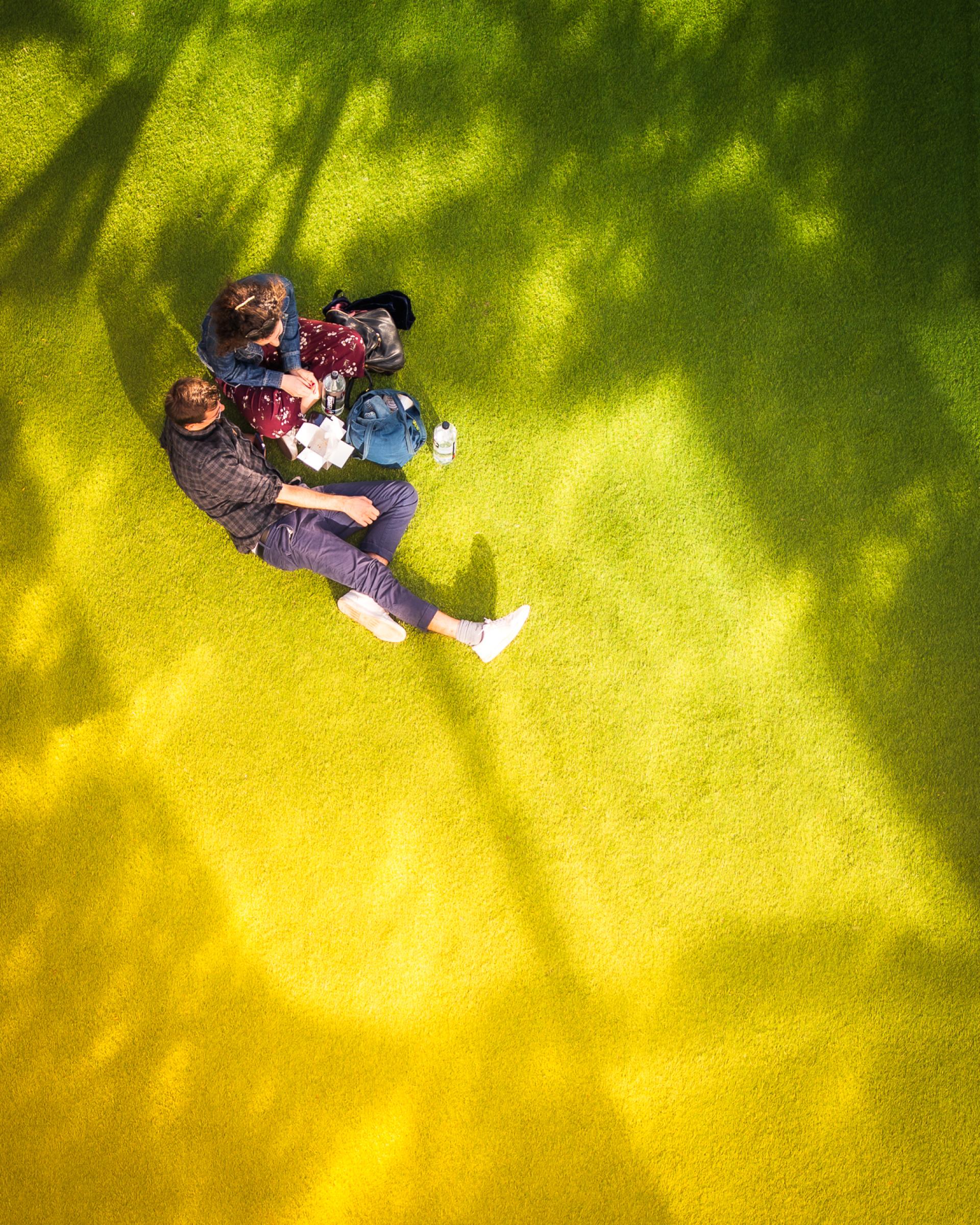 New York Photography Awards Winner - Life Outside My New York Window