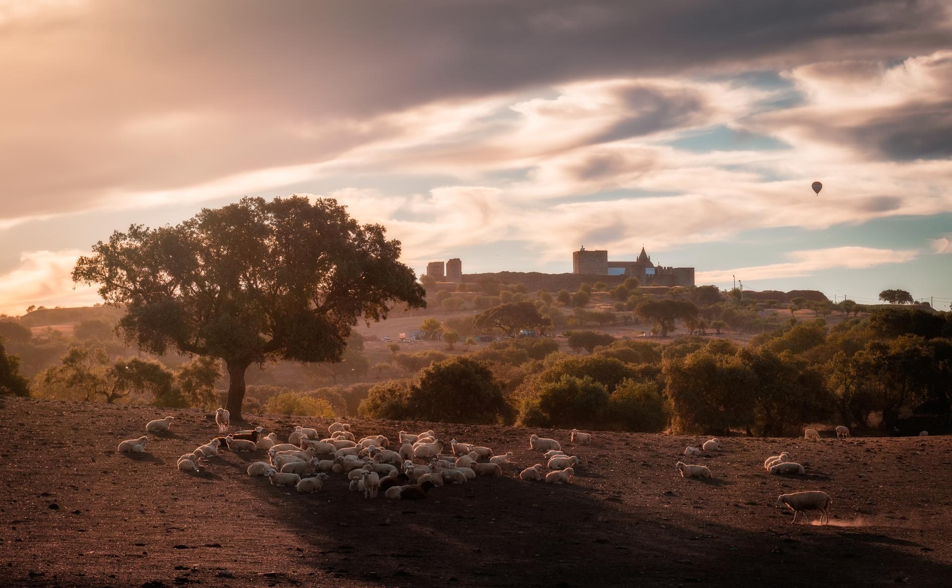 New York Photography Awards Winner - Castelo de Mourão, Alentejo