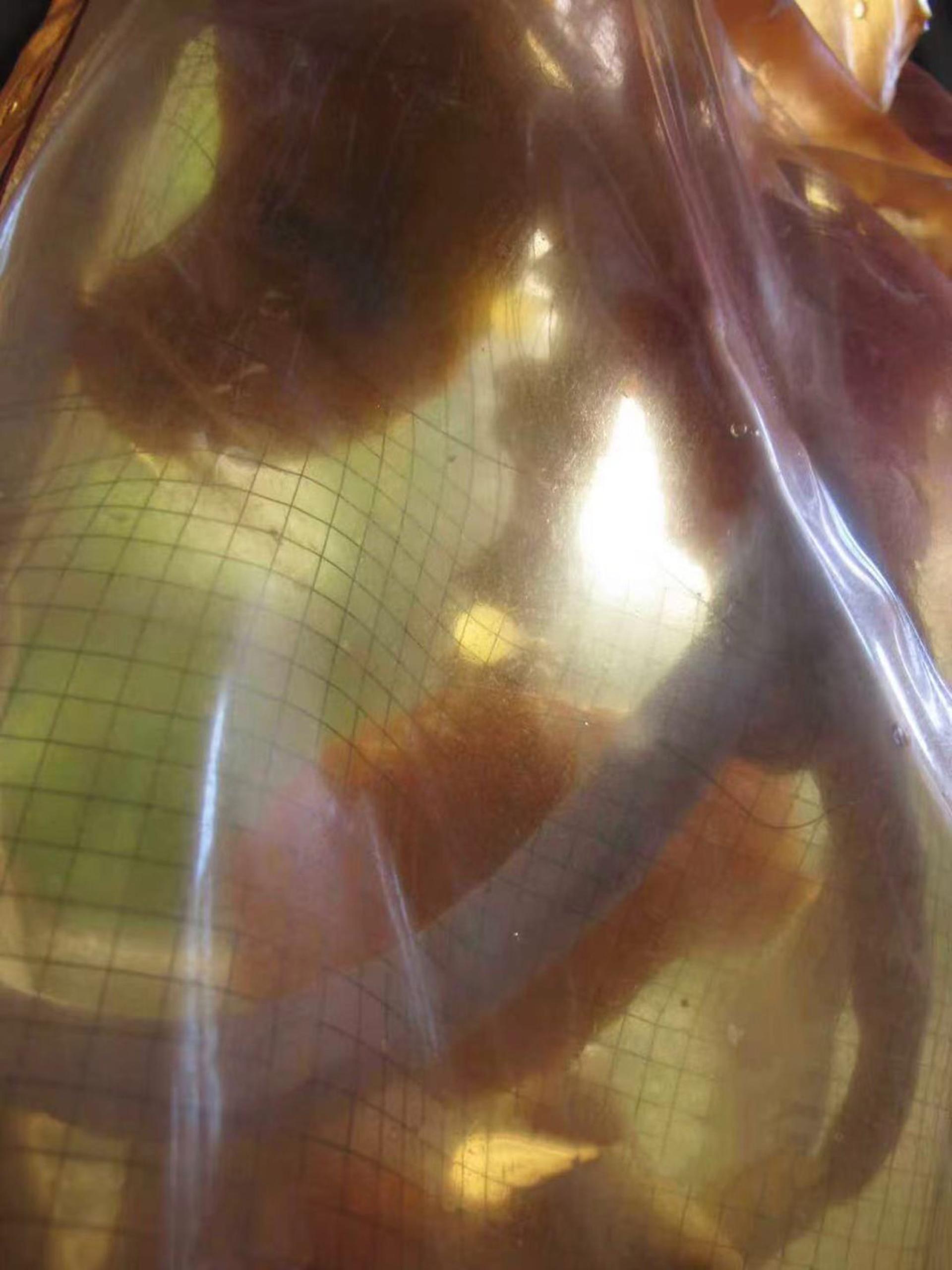 New York Photography Awards Winner - POTATO SKIN MAN