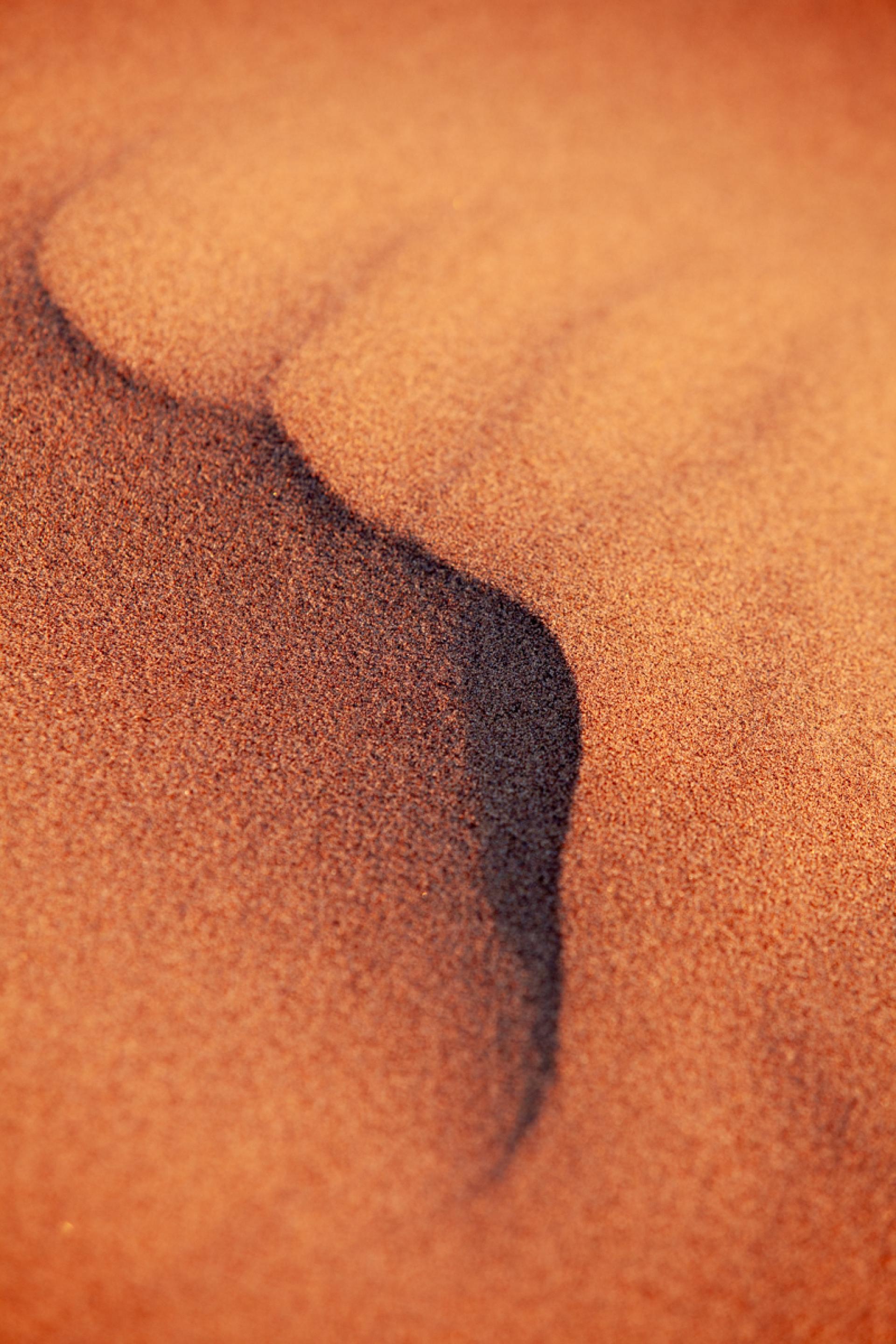 New York Photography Awards Winner - Windmark