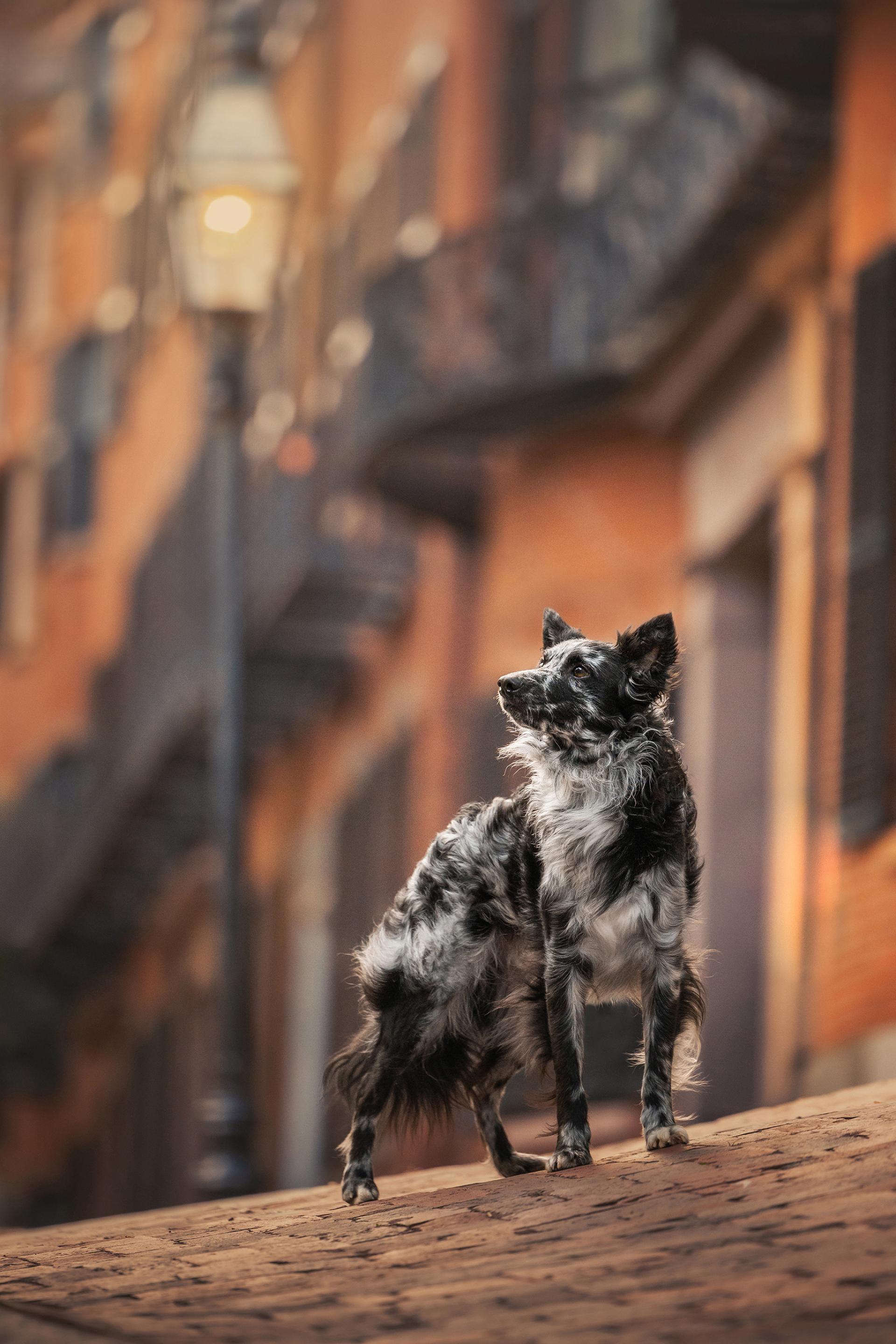 New York Photography Awards Winner - The Light Keeper