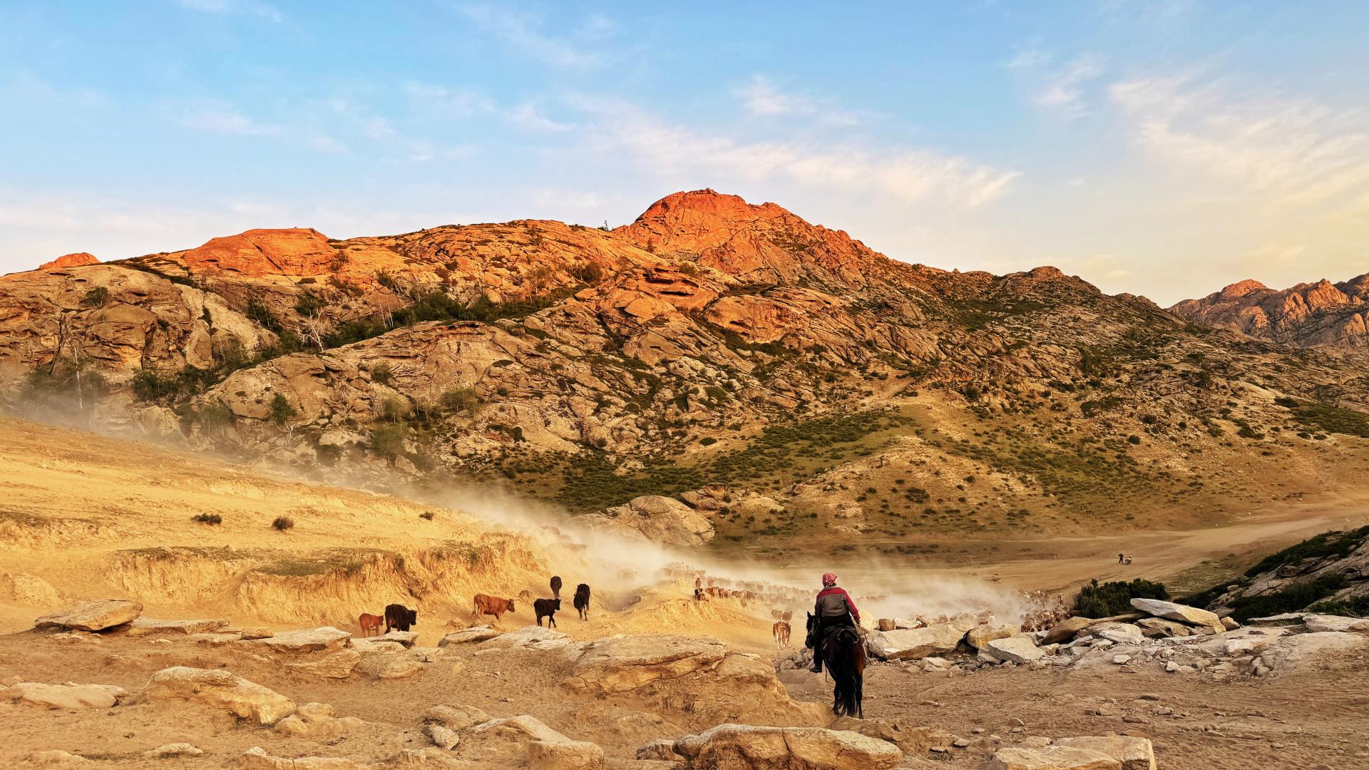 New York Photography Awards Winner - The Golden Journey Home