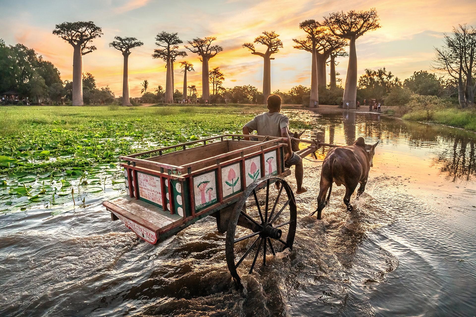 New York Photography Awards Winner - Vanishing Worlds