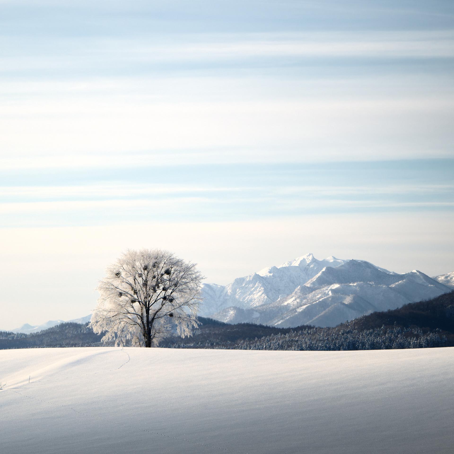 New York Photography Awards Winner - Harmonics of Winter
