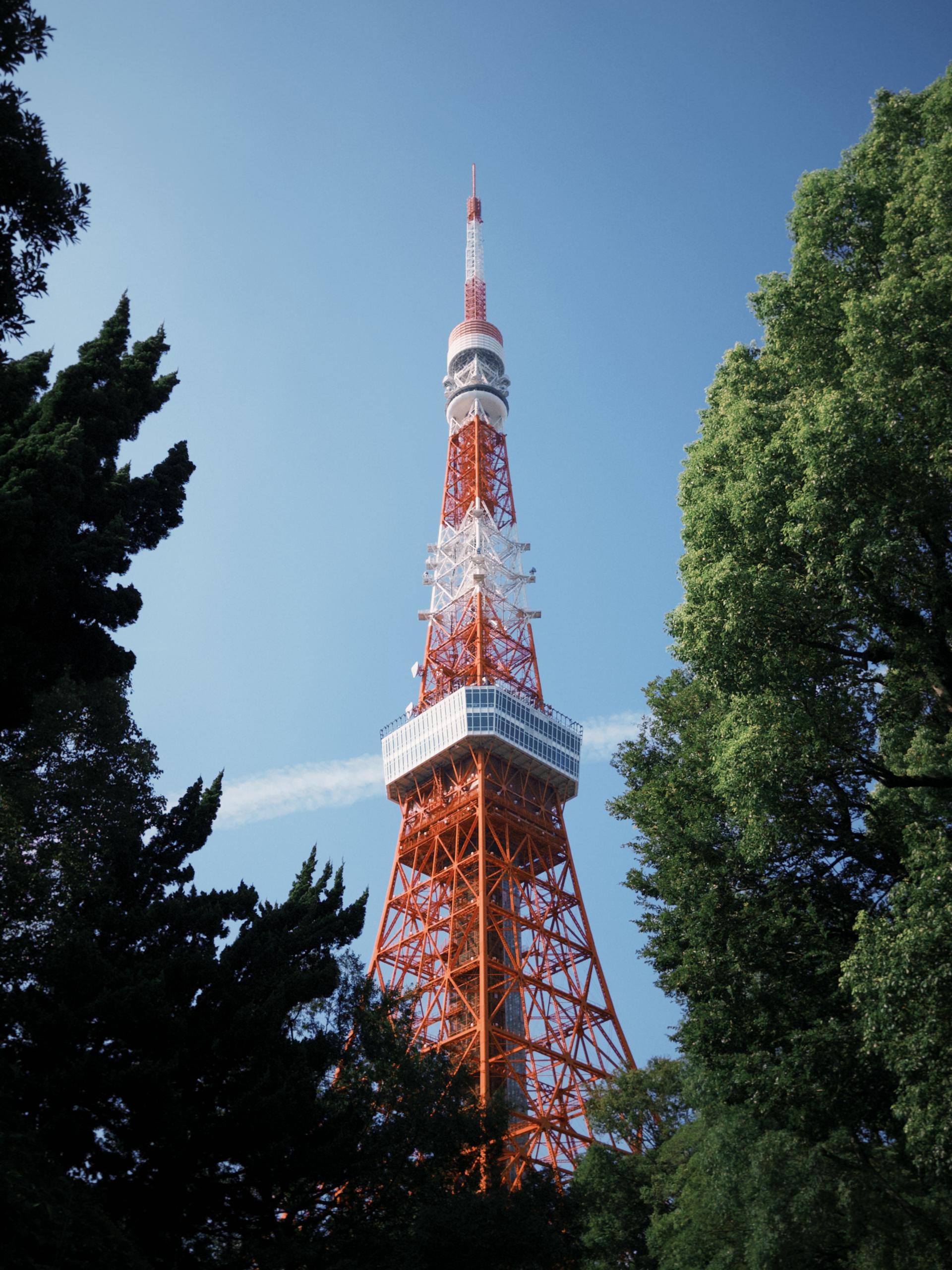 New York Photography Awards Winner - 東京塔