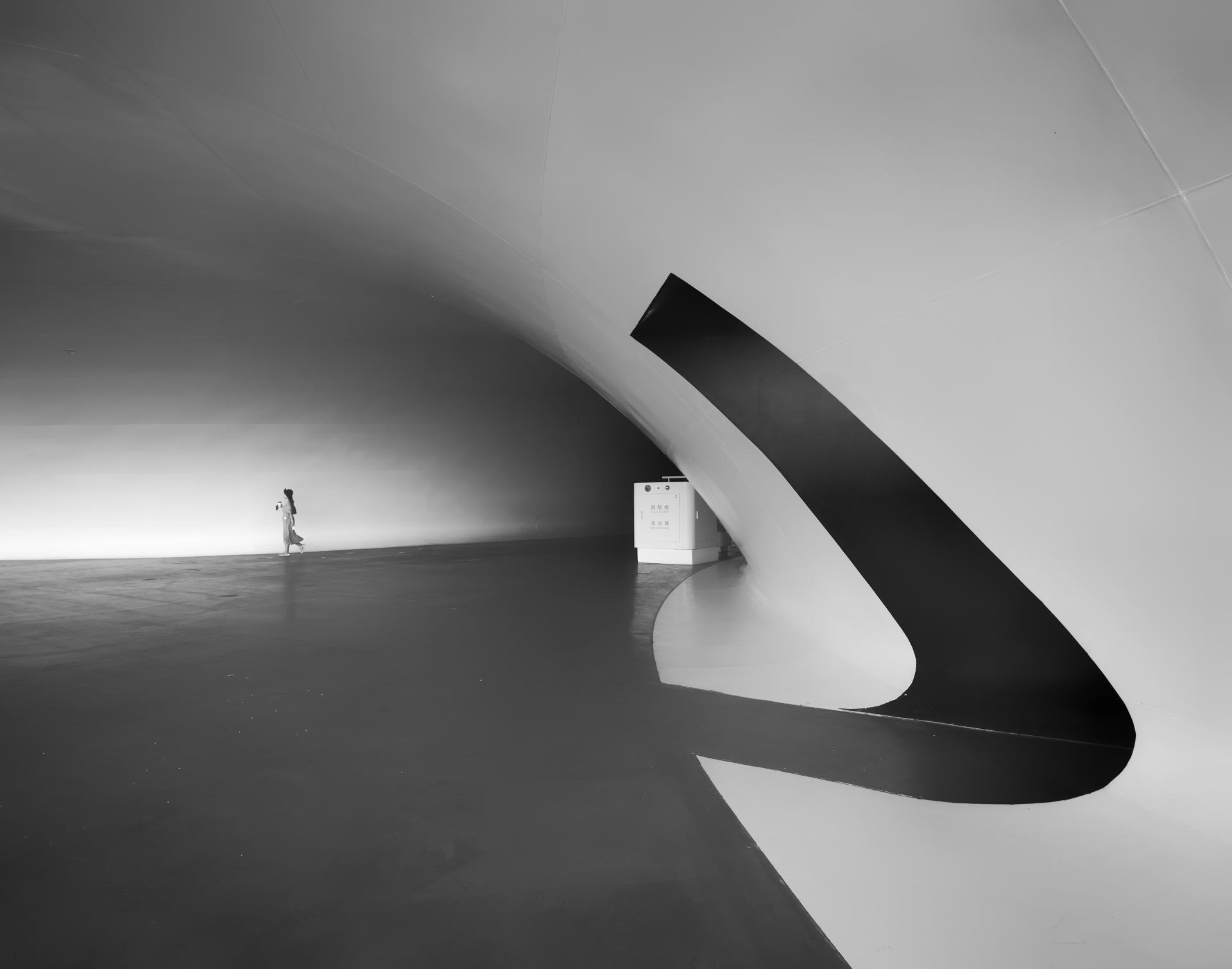 New York Photography Awards Winner - Insignificance of Persons