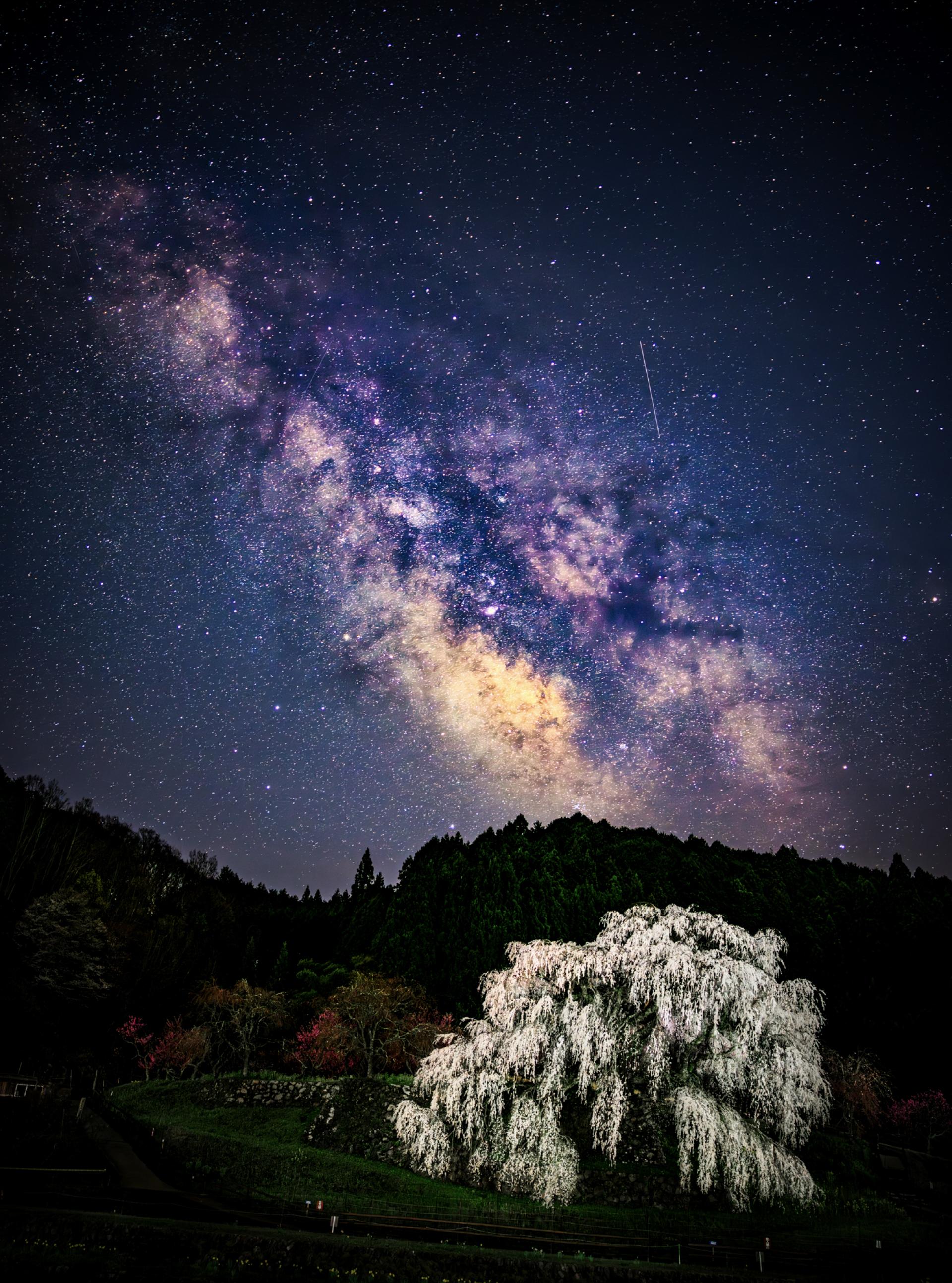 New York Photography Awards Winner - Under the Stars of a Thousand Years