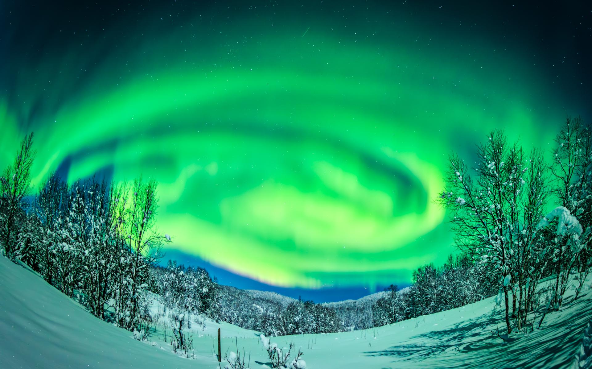 New York Photography Awards Winner - Dance of the Aurora