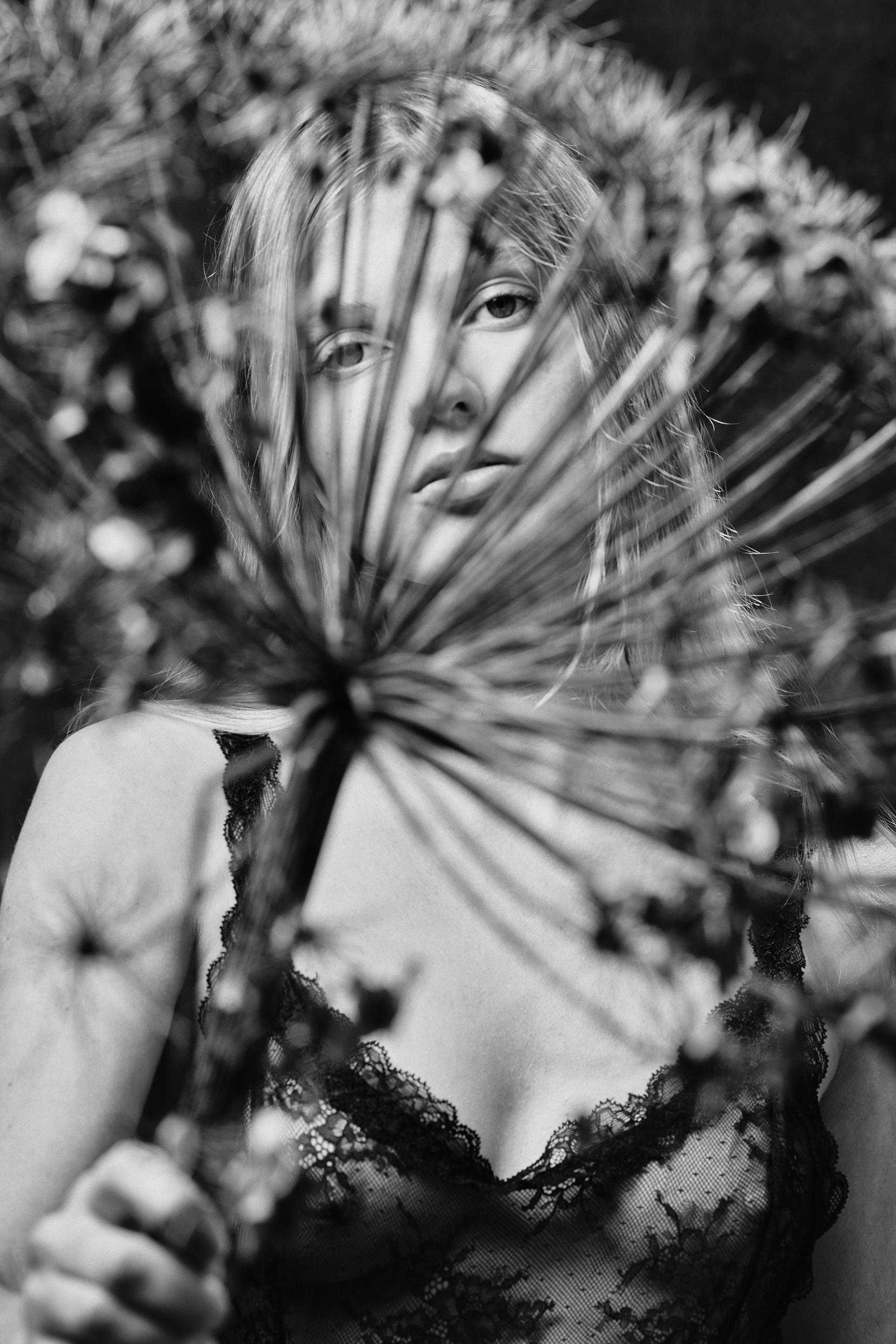 New York Photography Awards Winner - Evelina_Heracleum mantegazzianum