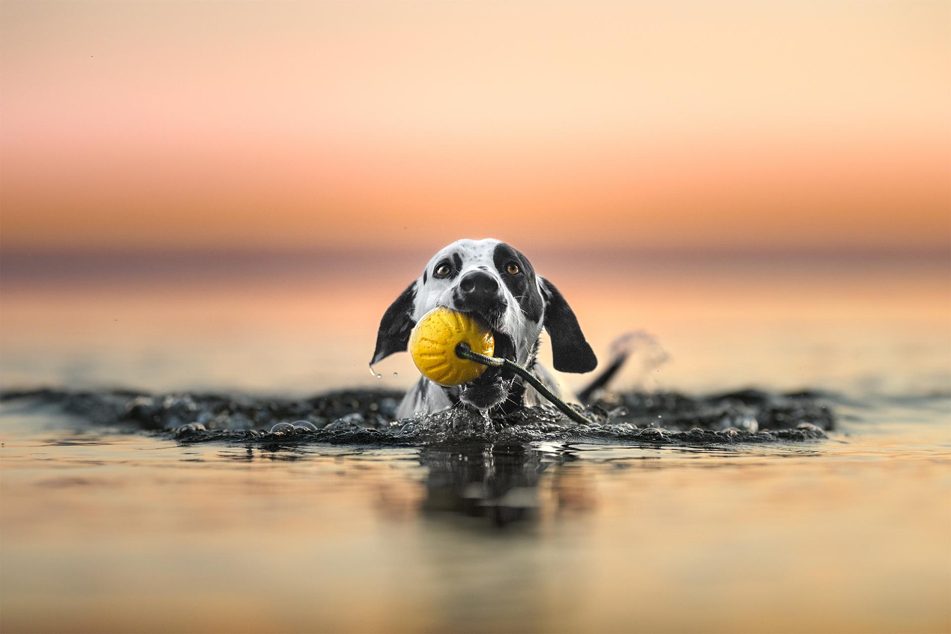 New York Photography Awards Winner - When The Sky Wore Water Colors 