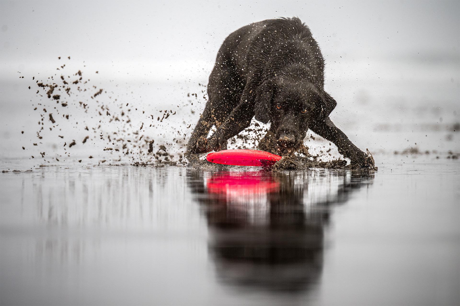 New York Photography Awards Winner - Beach Blitz