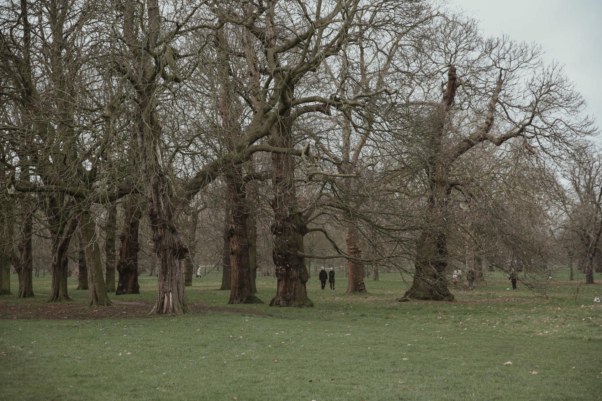 New York Photography Awards Winner - Ontological Irony