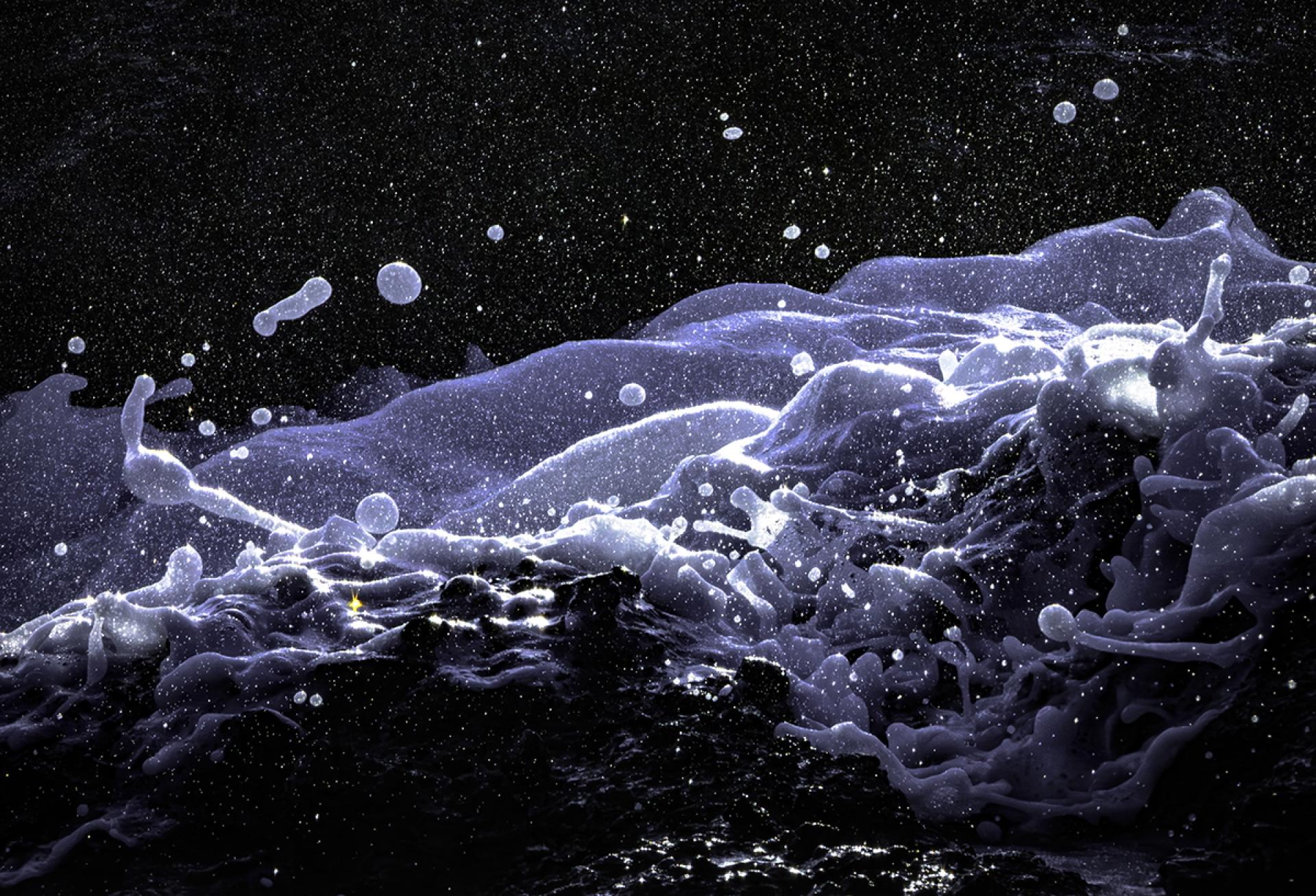 New York Photography Awards Winner - Ephemeral Creations of the Sea