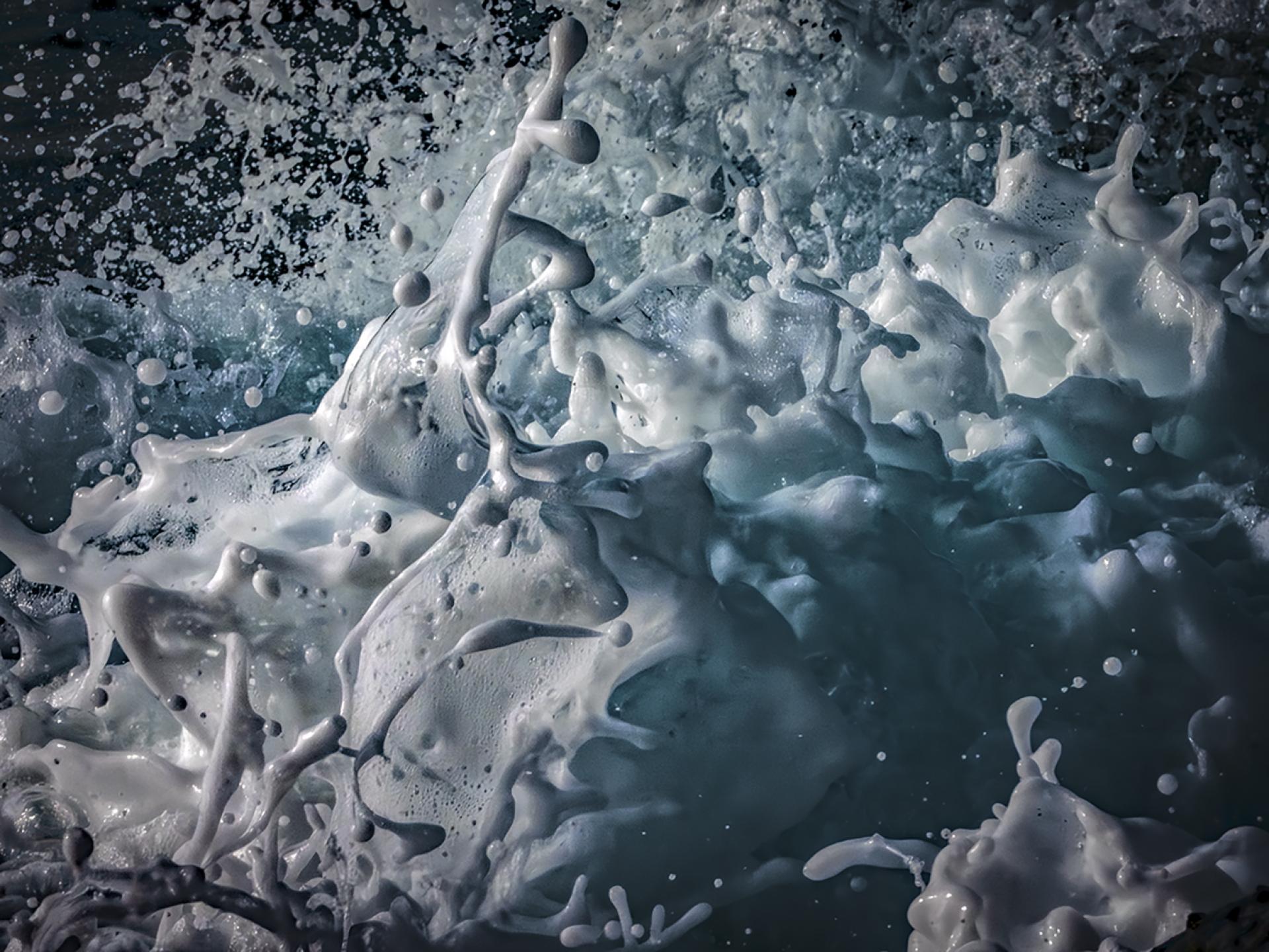 New York Photography Awards Winner - Ephemeral Creations of the Sea