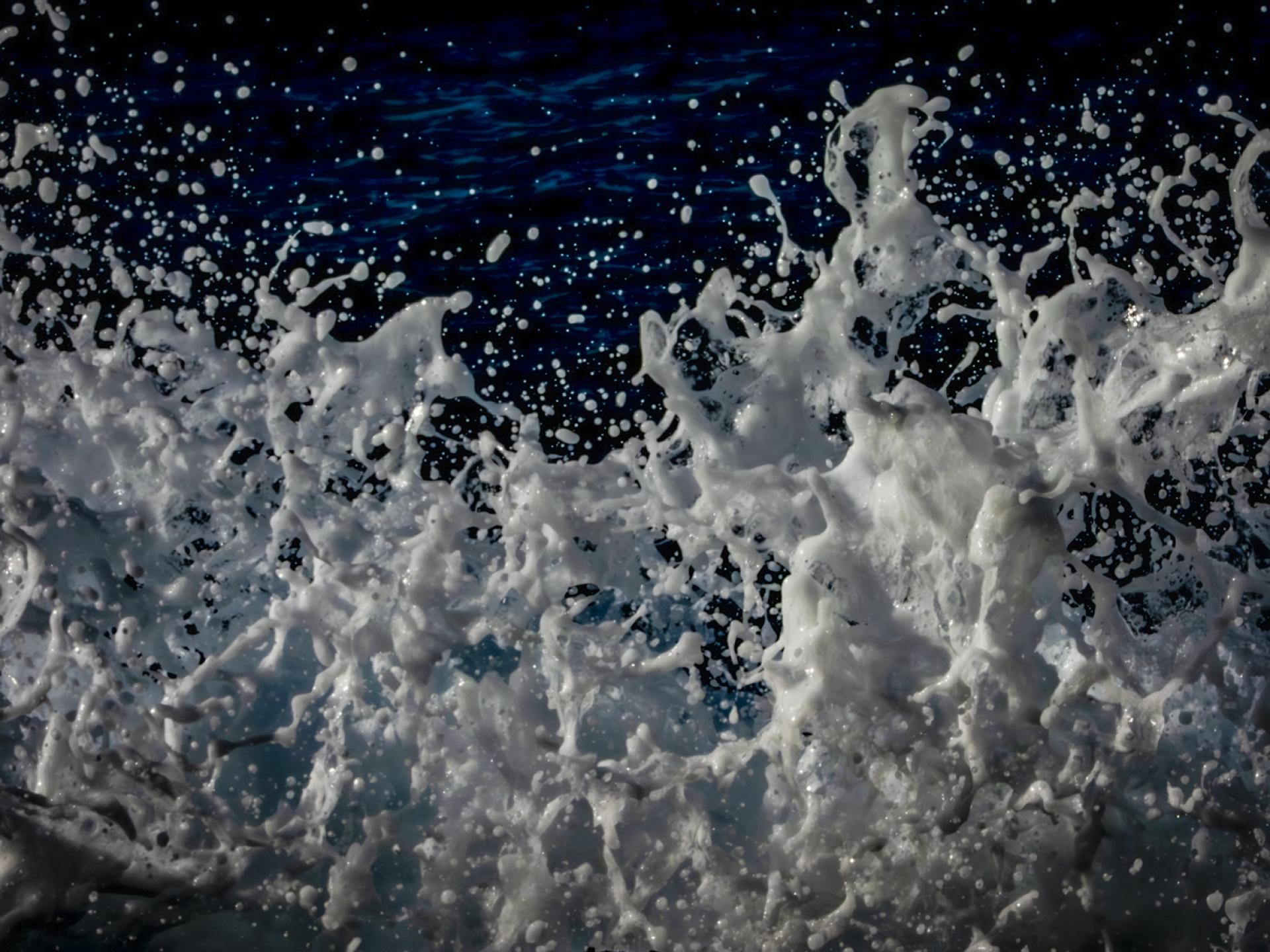 New York Photography Awards Winner - Ephemeral Creations of the Sea