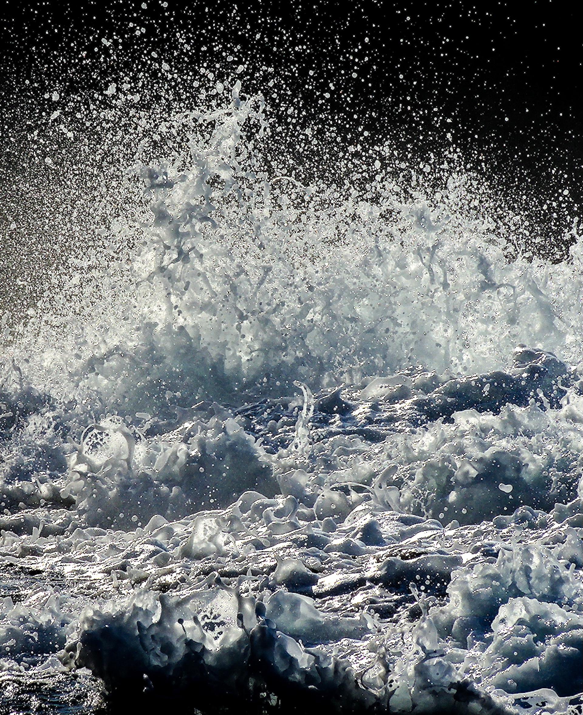 New York Photography Awards Winner - Ephemeral Creations of the Sea