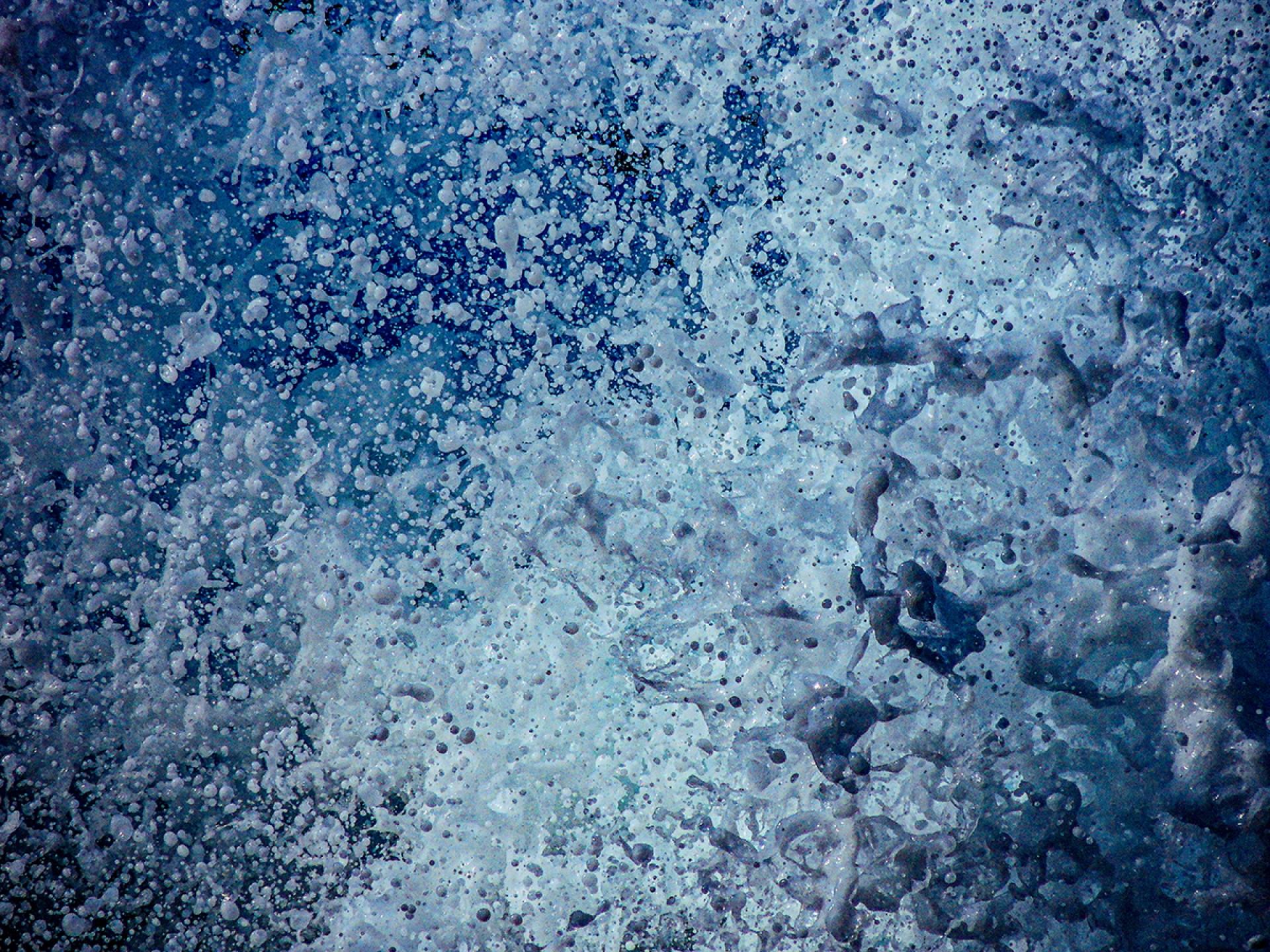 New York Photography Awards Winner - Ephemeral Creations of the Sea