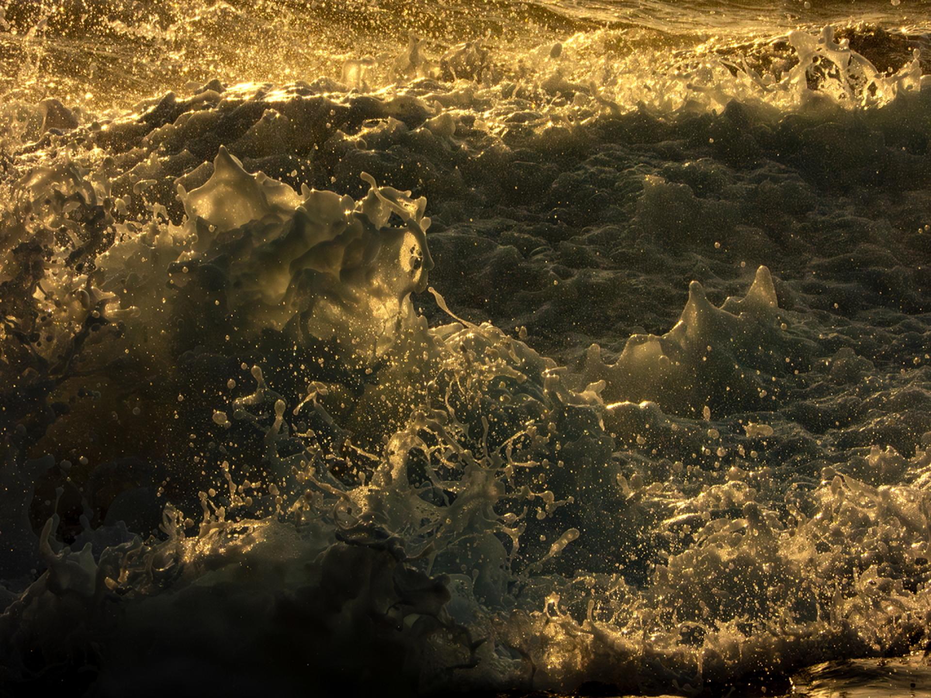 New York Photography Awards Winner - Ephemeral Creations of the Sea