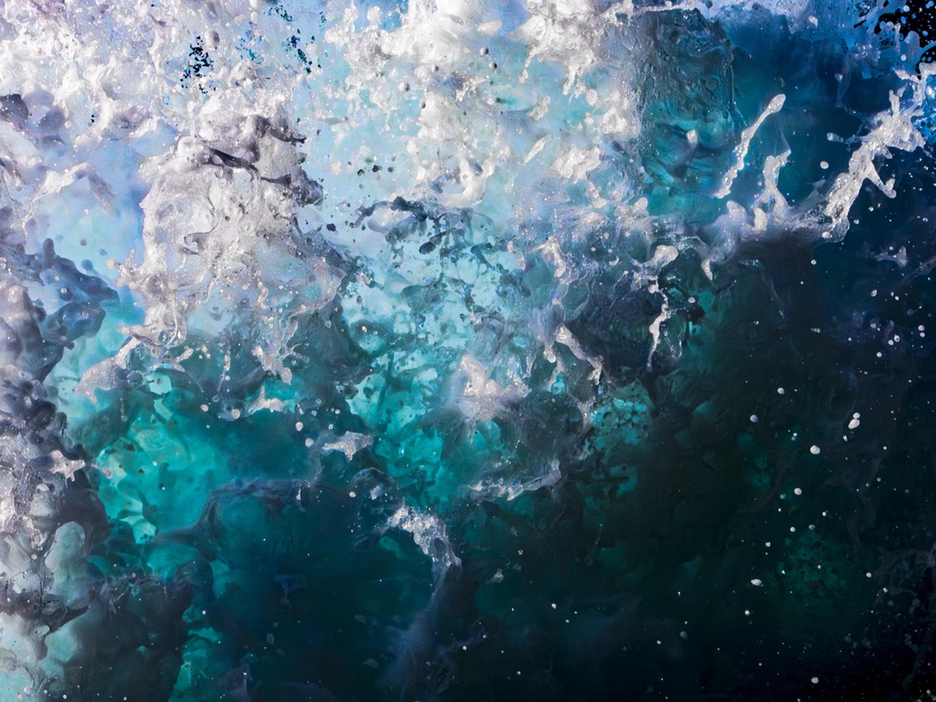 New York Photography Awards Winner - Ephemeral Creations of the Sea