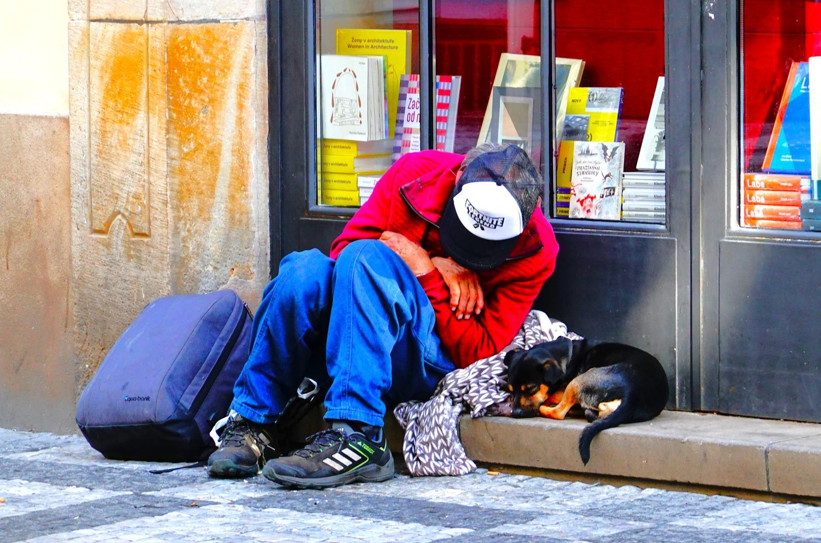 New York Photography Awards Winner - 最好的朋友
