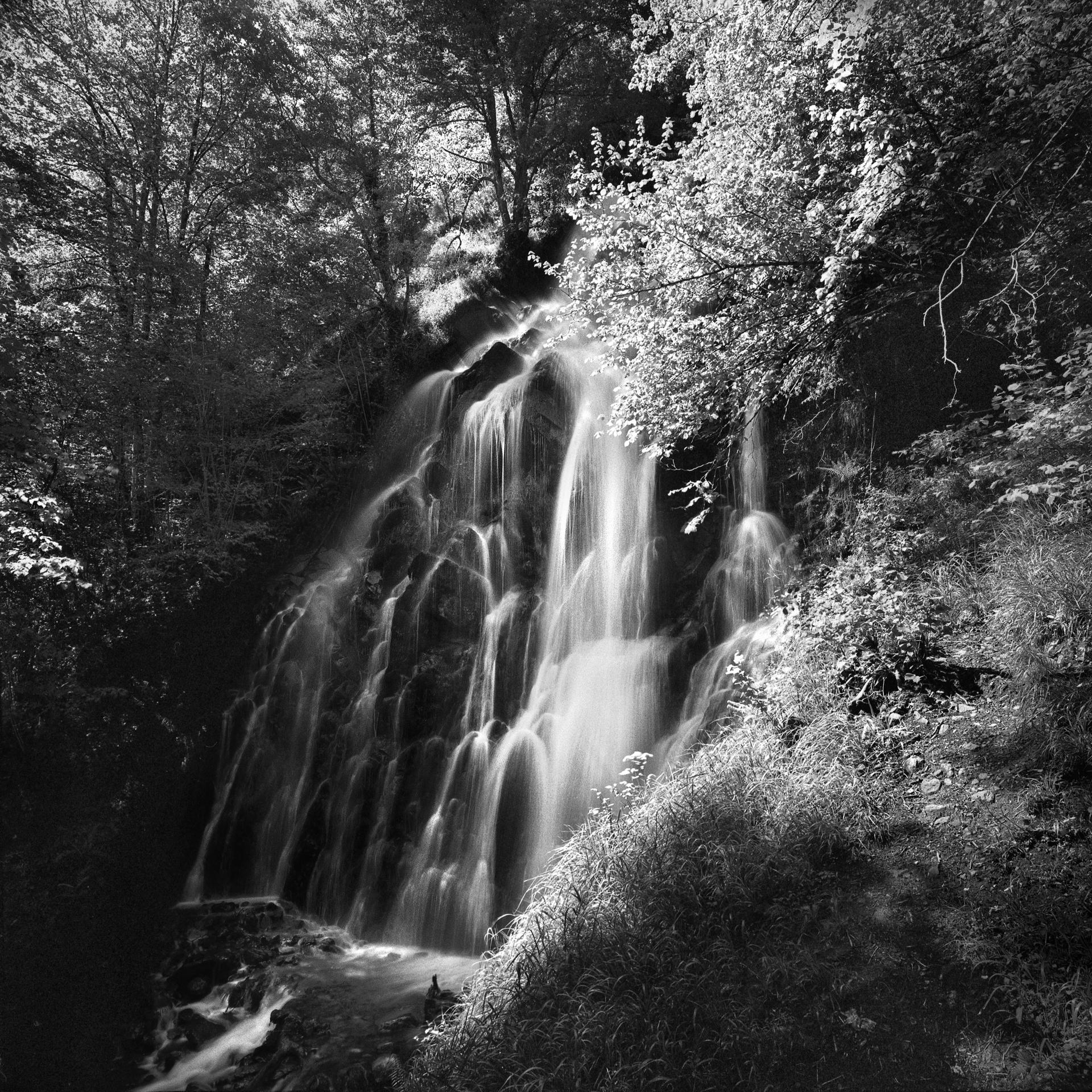 New York Photography Awards Winner - PRINCIPALITY OF ASTURIAS NATURAL PARKS (SPAIN)