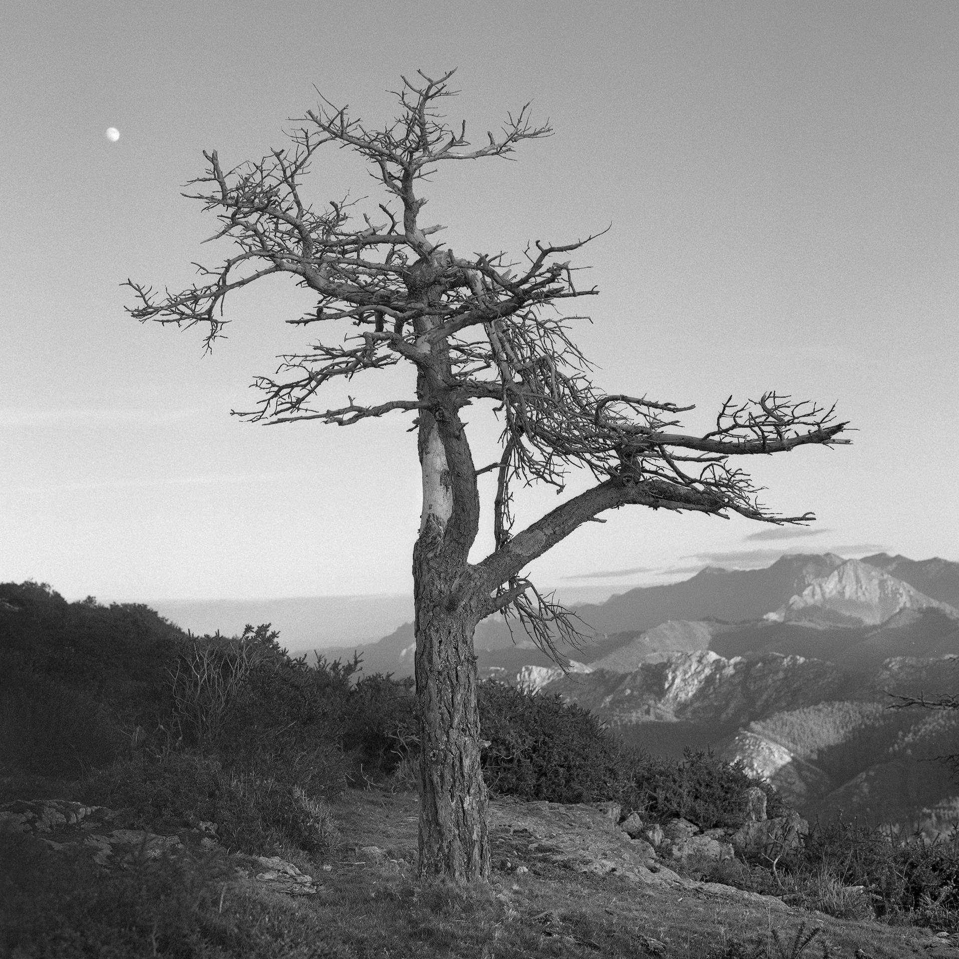 New York Photography Awards Winner - PRINCIPALITY OF ASTURIAS NATURAL PARKS (SPAIN)