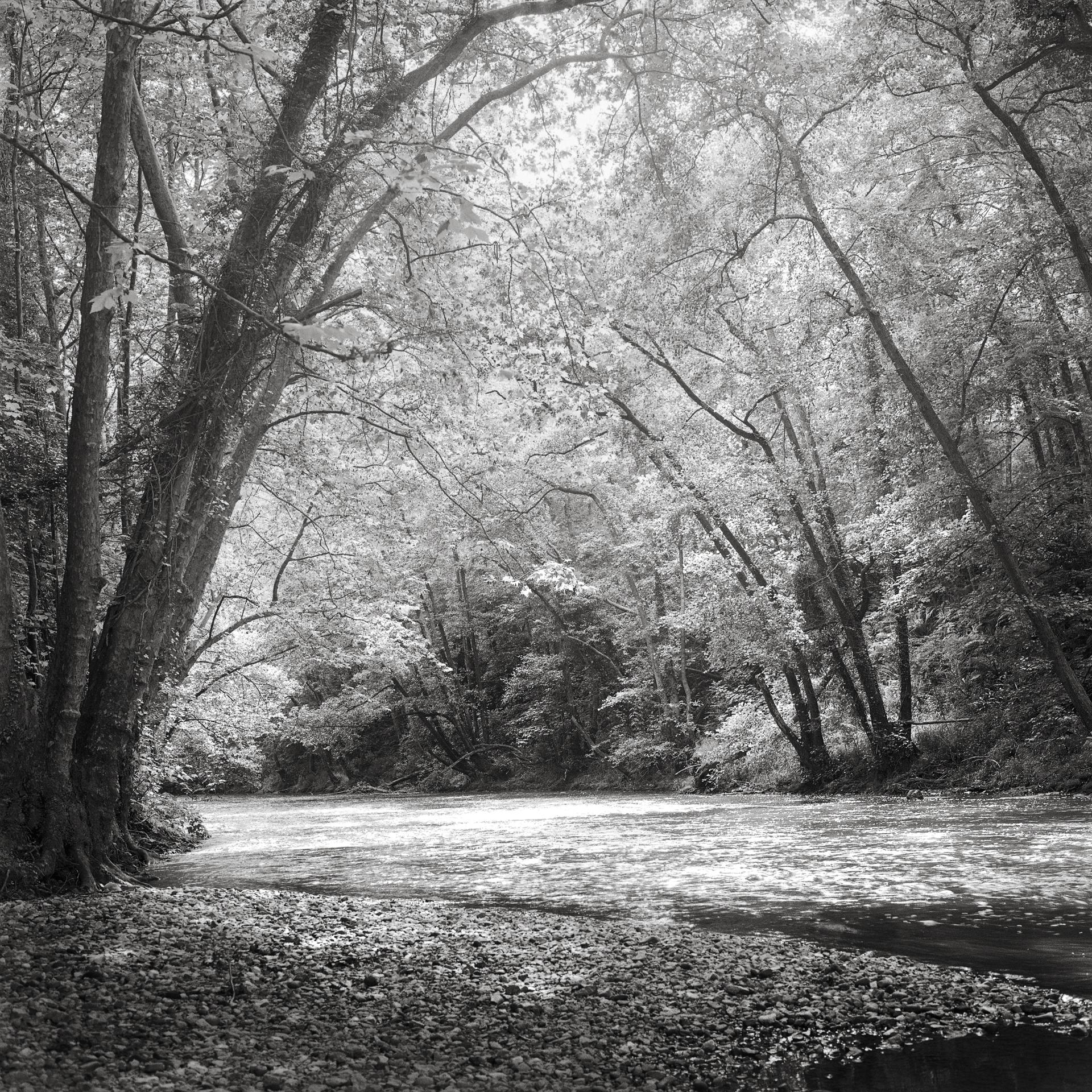 New York Photography Awards Winner - PRINCIPALITY OF ASTURIAS NATURAL PARKS (SPAIN)