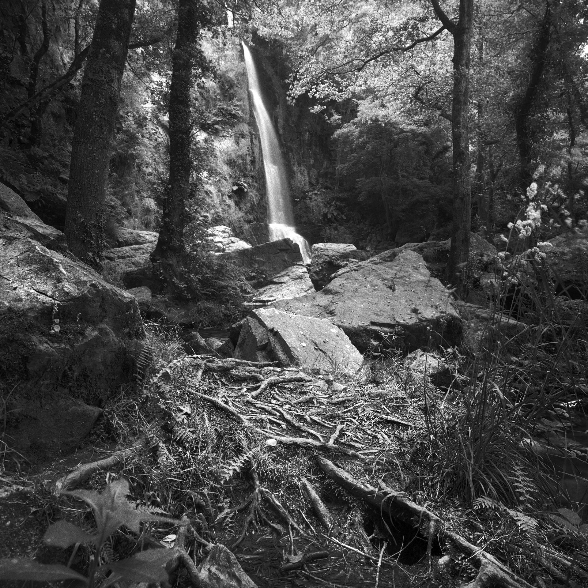 New York Photography Awards Winner - PRINCIPALITY OF ASTURIAS NATURAL PARKS (SPAIN)