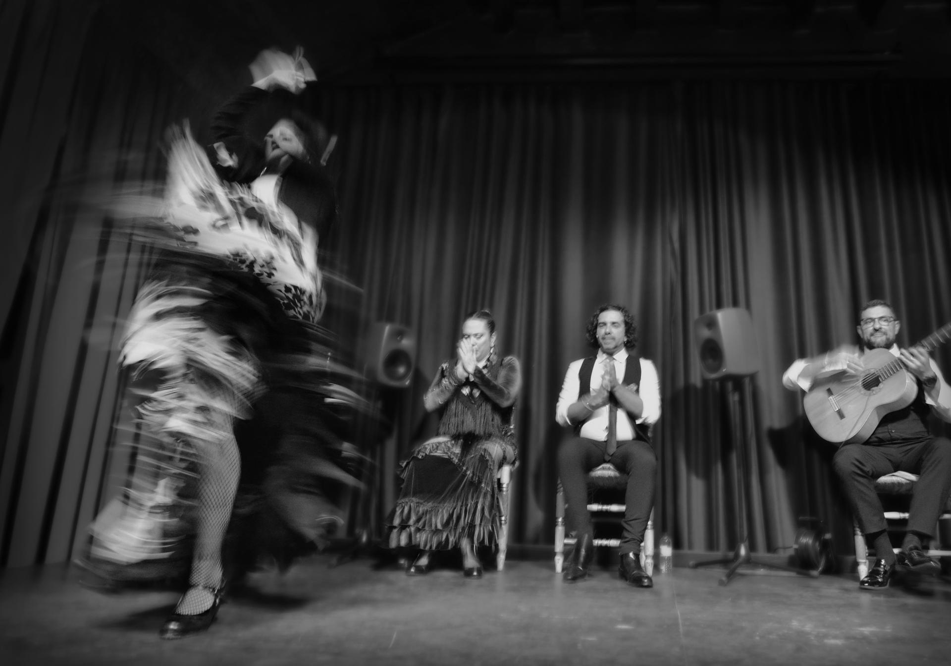 New York Photography Awards Winner - Rosa dancing flamenco