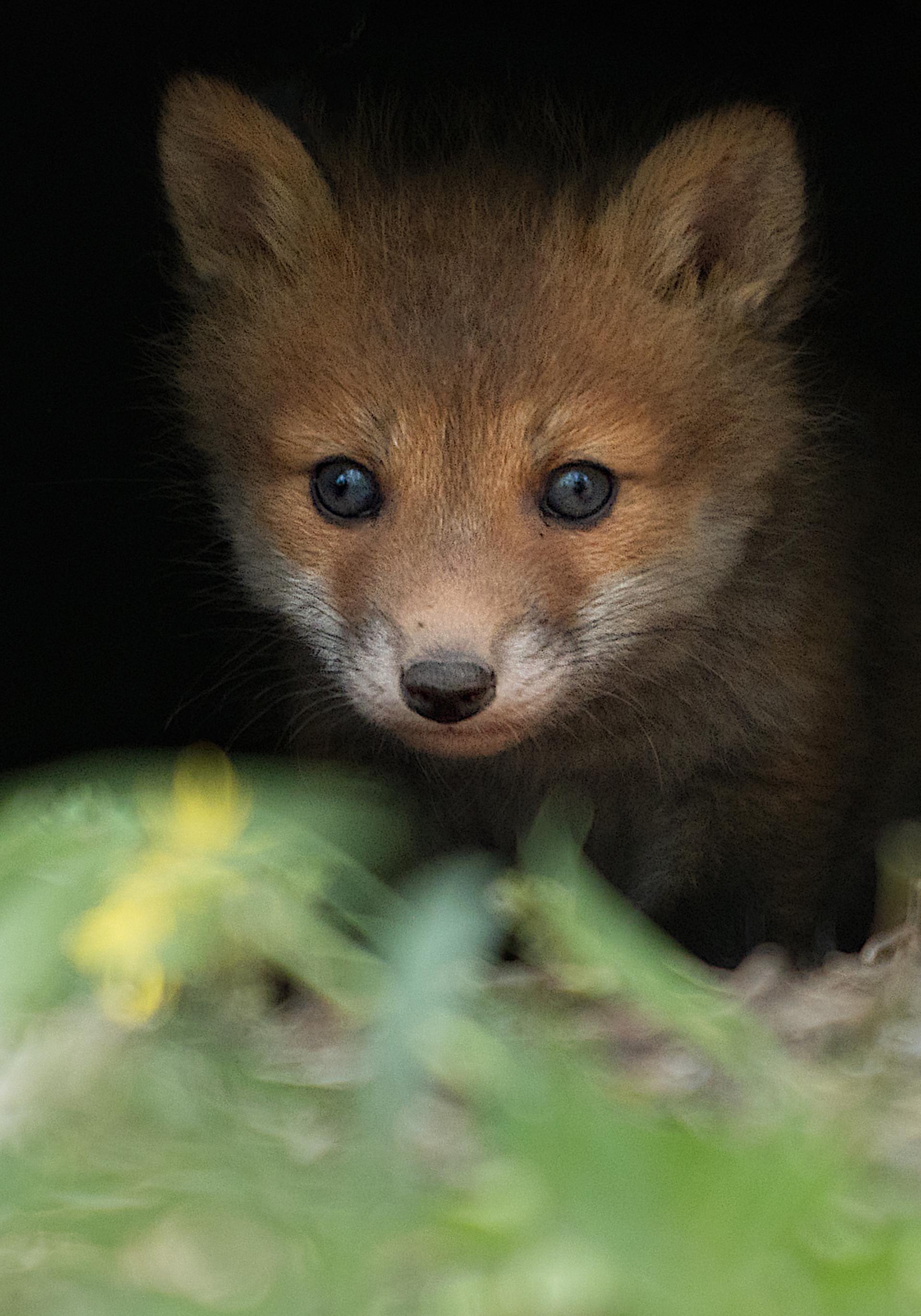 New York Photography Awards Winner - Save the Earth