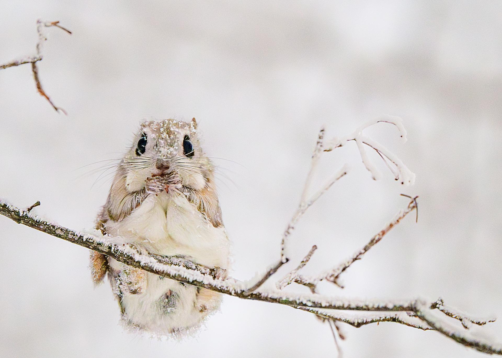 New York Photography Awards Winner - Save the Earth
