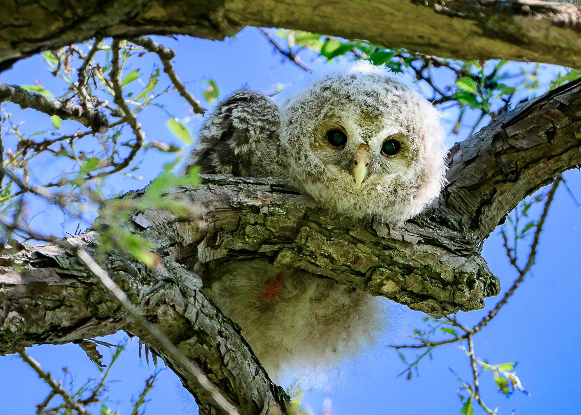 New York Photography Awards Winner - Save the Earth