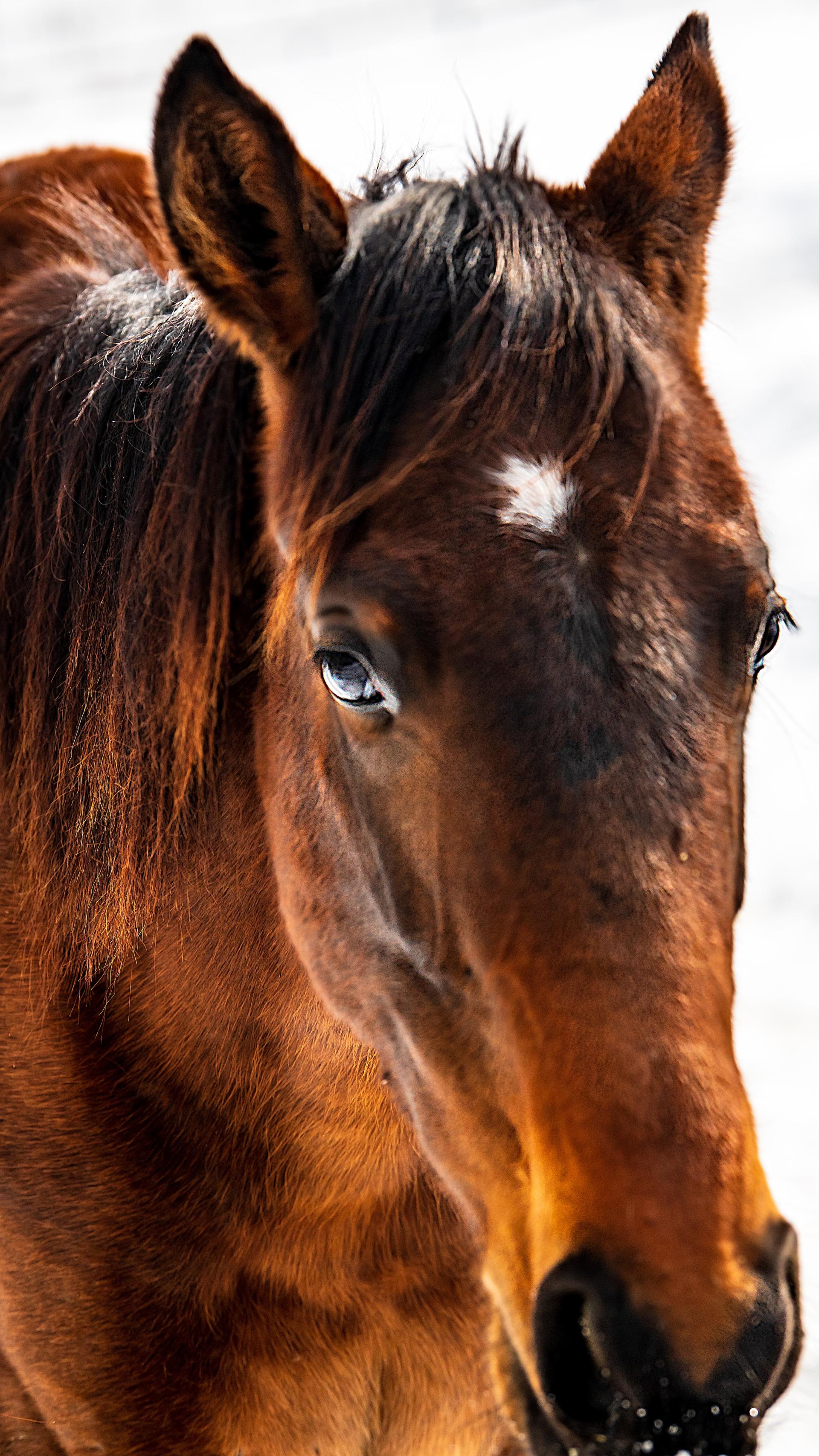 New York Photography Awards Winner - Save the Earth