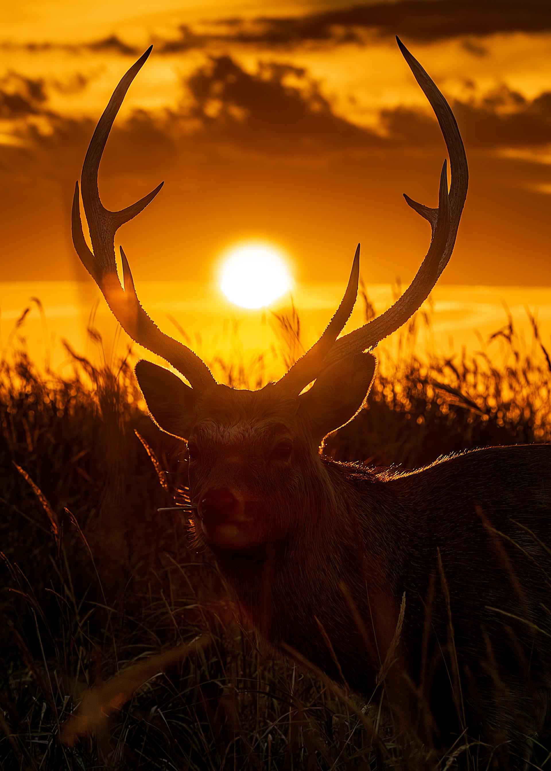 New York Photography Awards Winner - Save the Earth