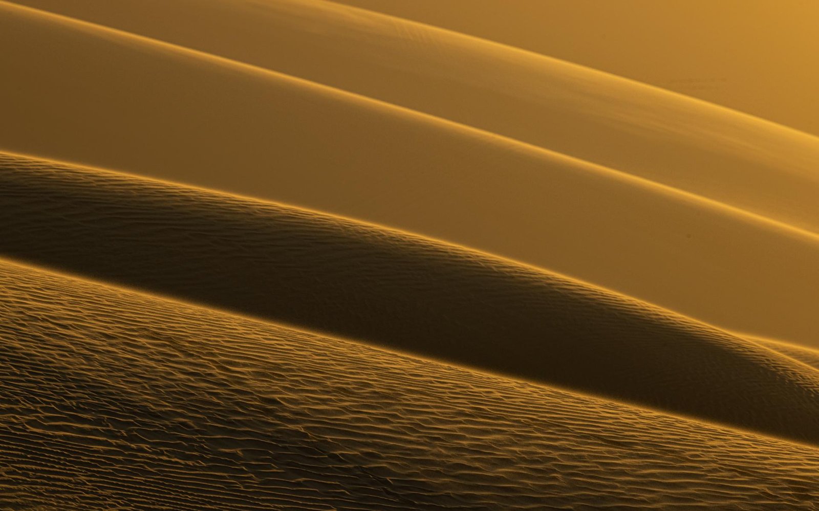 New York Photography Awards Winner - The Beauty of Namib Desert