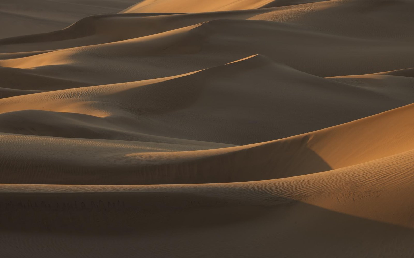 New York Photography Awards Winner - The Beauty of Namib Desert